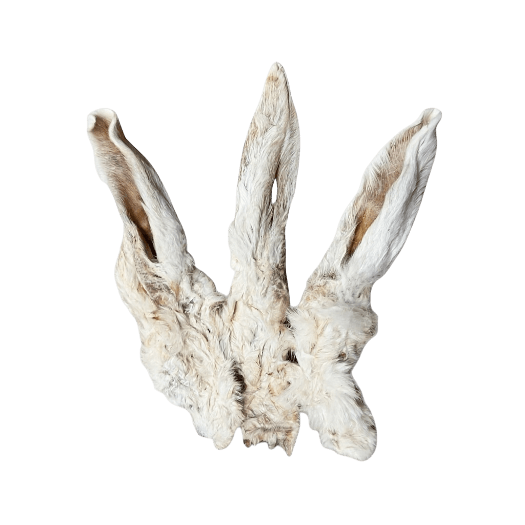 Kaninchenohren mit Fell – Natürlicher Kauartikel für Hunde, schonend getrocknet und naturbelassen.