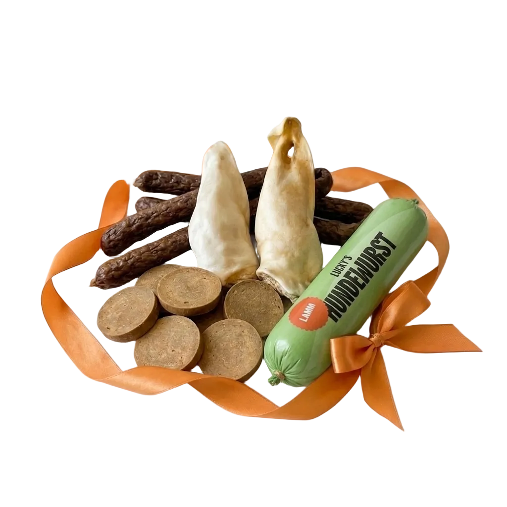 Hochwertiges Oster-Bundle für Hunde bestehend aus gefüllten Kaninchenohren, Kausnack-Talern, getrockneten Fleischsticks und einer grünen Hundewurst, dekoriert mit einer orangenen Seidenschleife auf weißem Hintergrund.