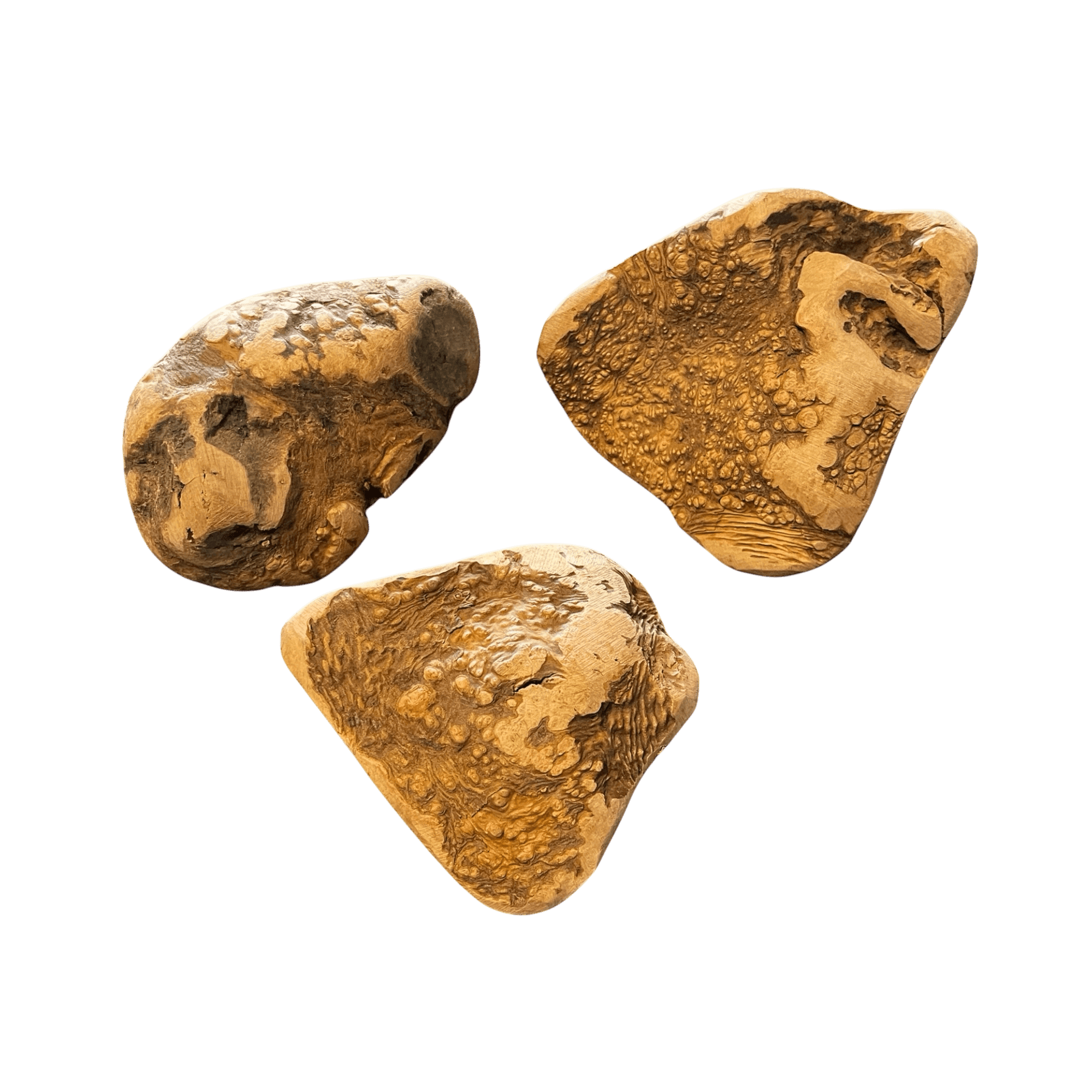 Kauwurzel aus Baumheide - natürliche Kauartikel für Hunde zur Förderung der Zahngesundheit.