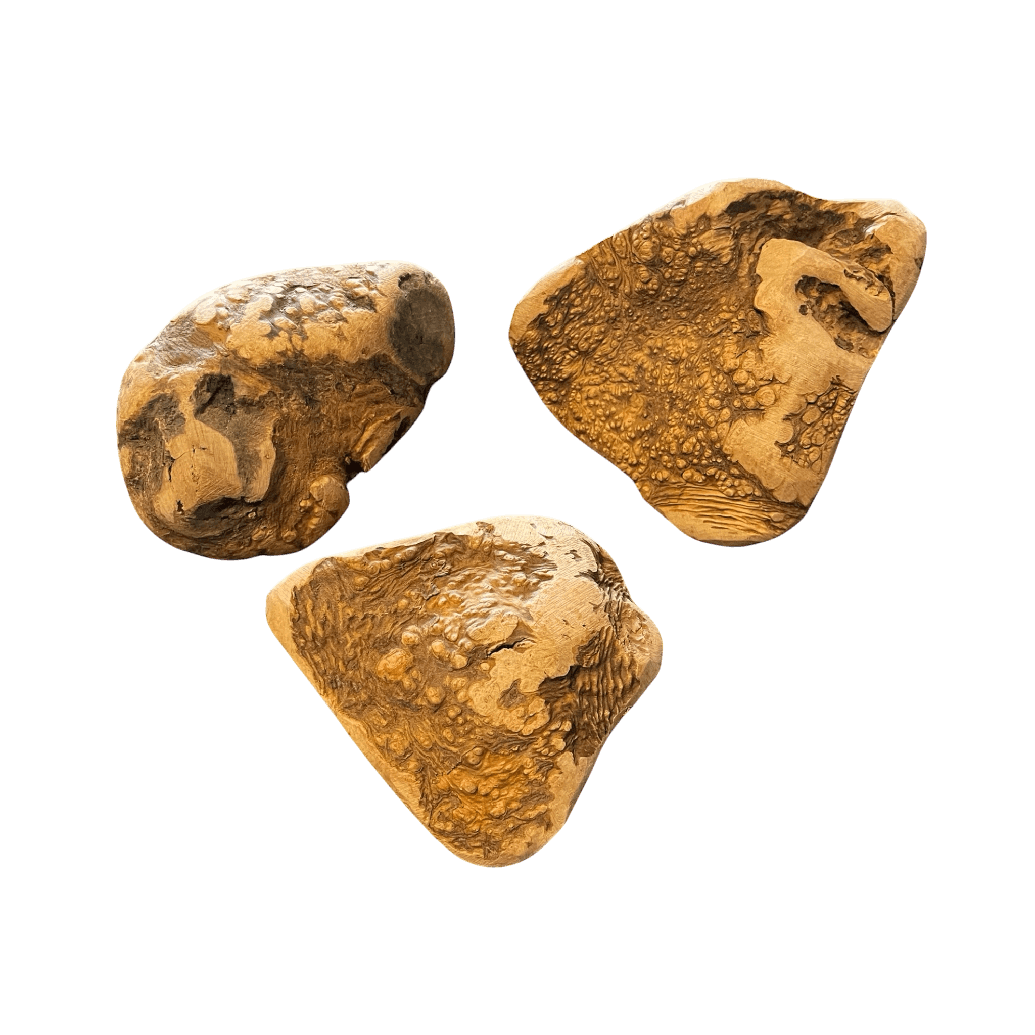 Kauwurzel aus Baumheide - natürliche Kauartikel für Hunde zur Förderung der Zahngesundheit.