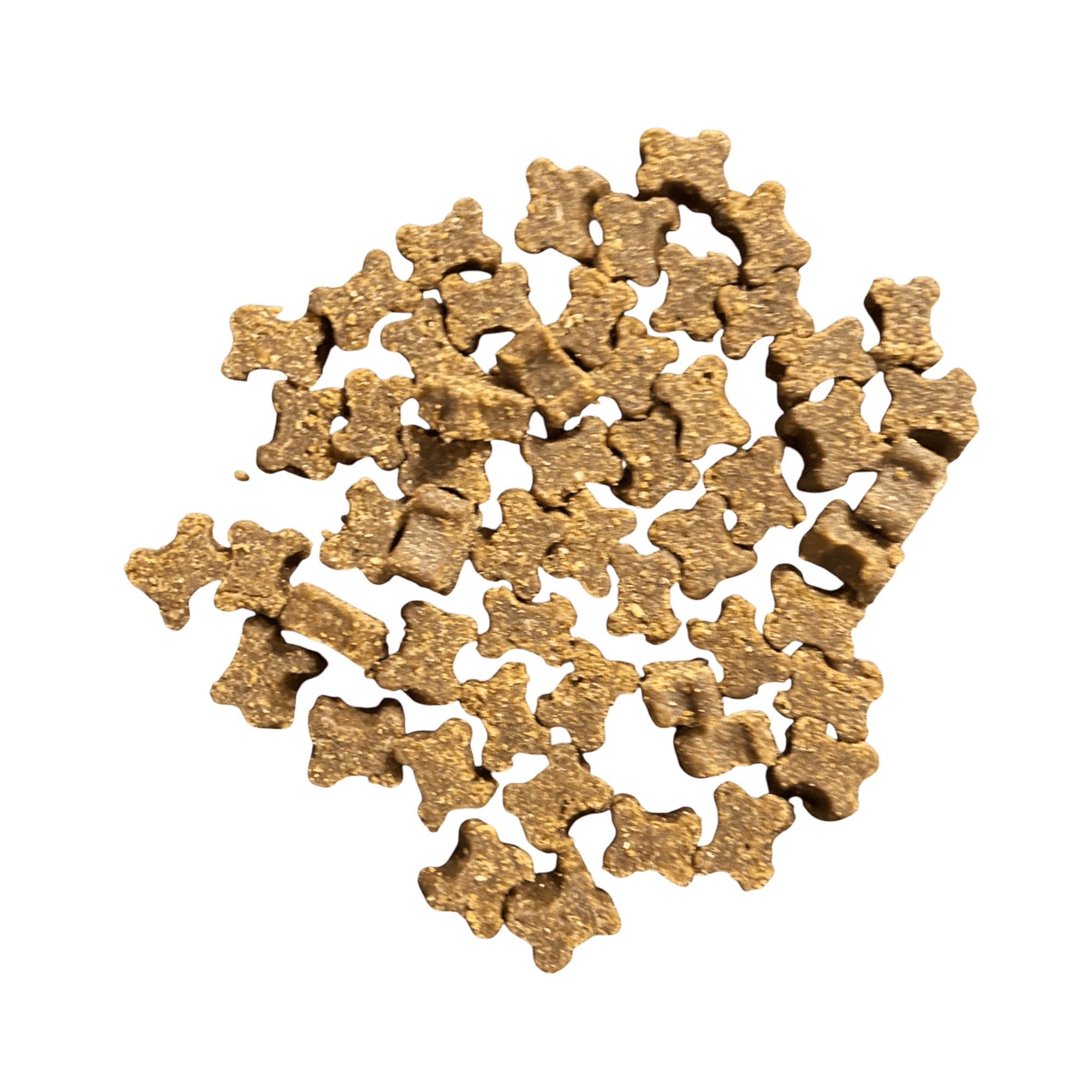 Lammsofties – Weiche Hundeleckerlis in Knochenform mit feinem Lammgeschmack