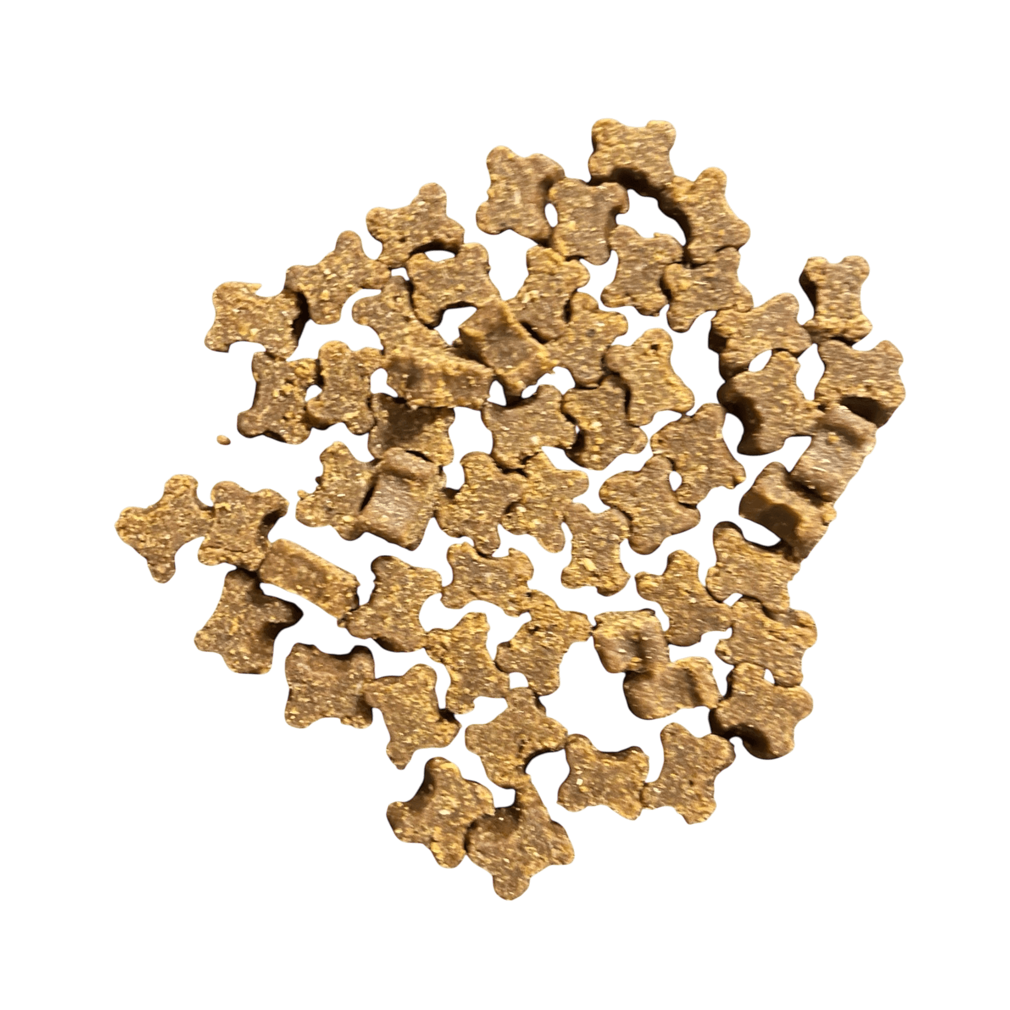 Lammsofties – Weiche Hundeleckerlis in Knochenform mit feinem Lammgeschmack