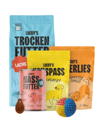 Assorted dog food products from Lucky's including dry and wet food, treats, and a toy.