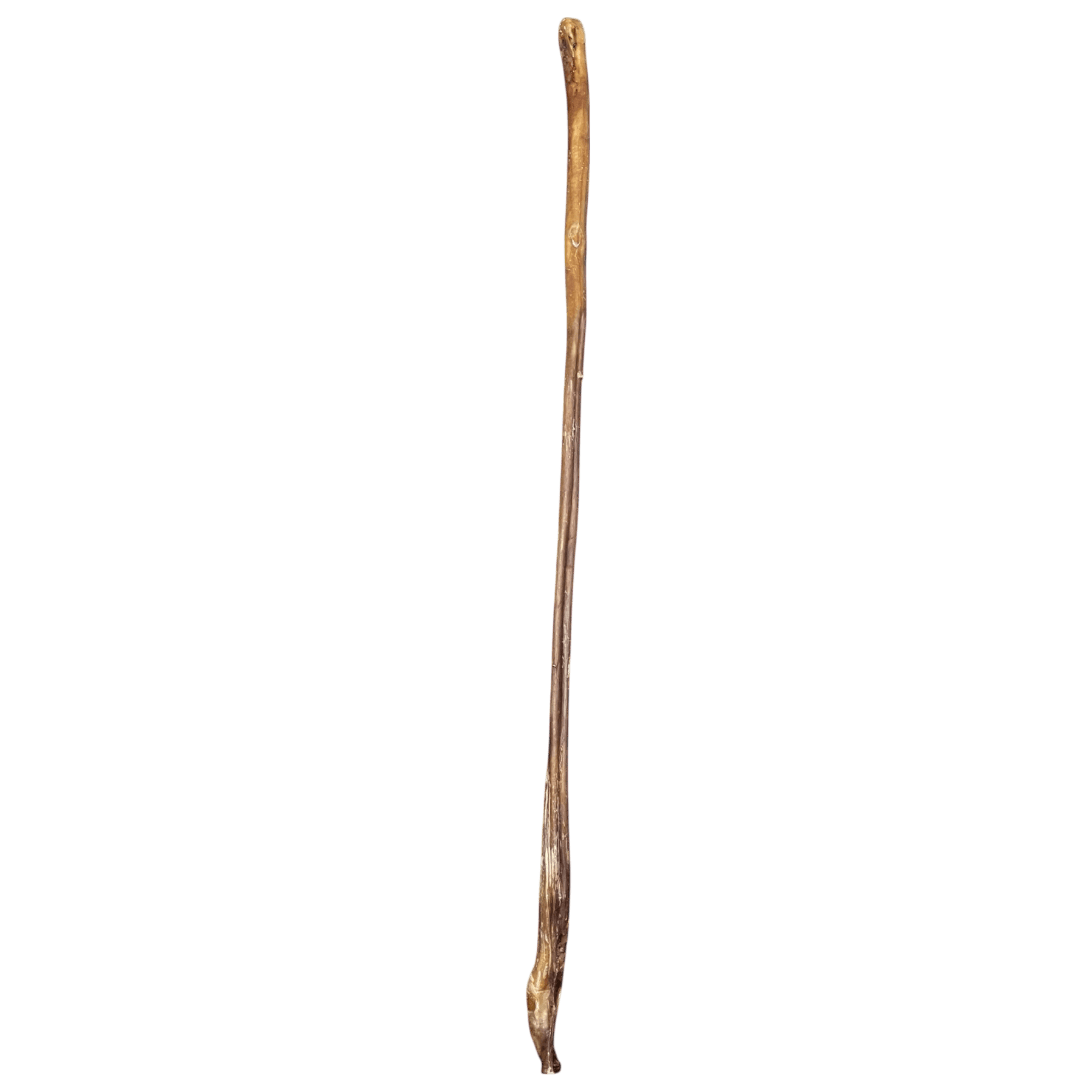 Ochsenziemer 100cm – Natürlicher Kauartikel für Hunde, ideal für Zahnpflege und langanhaltenden Kauspaß.