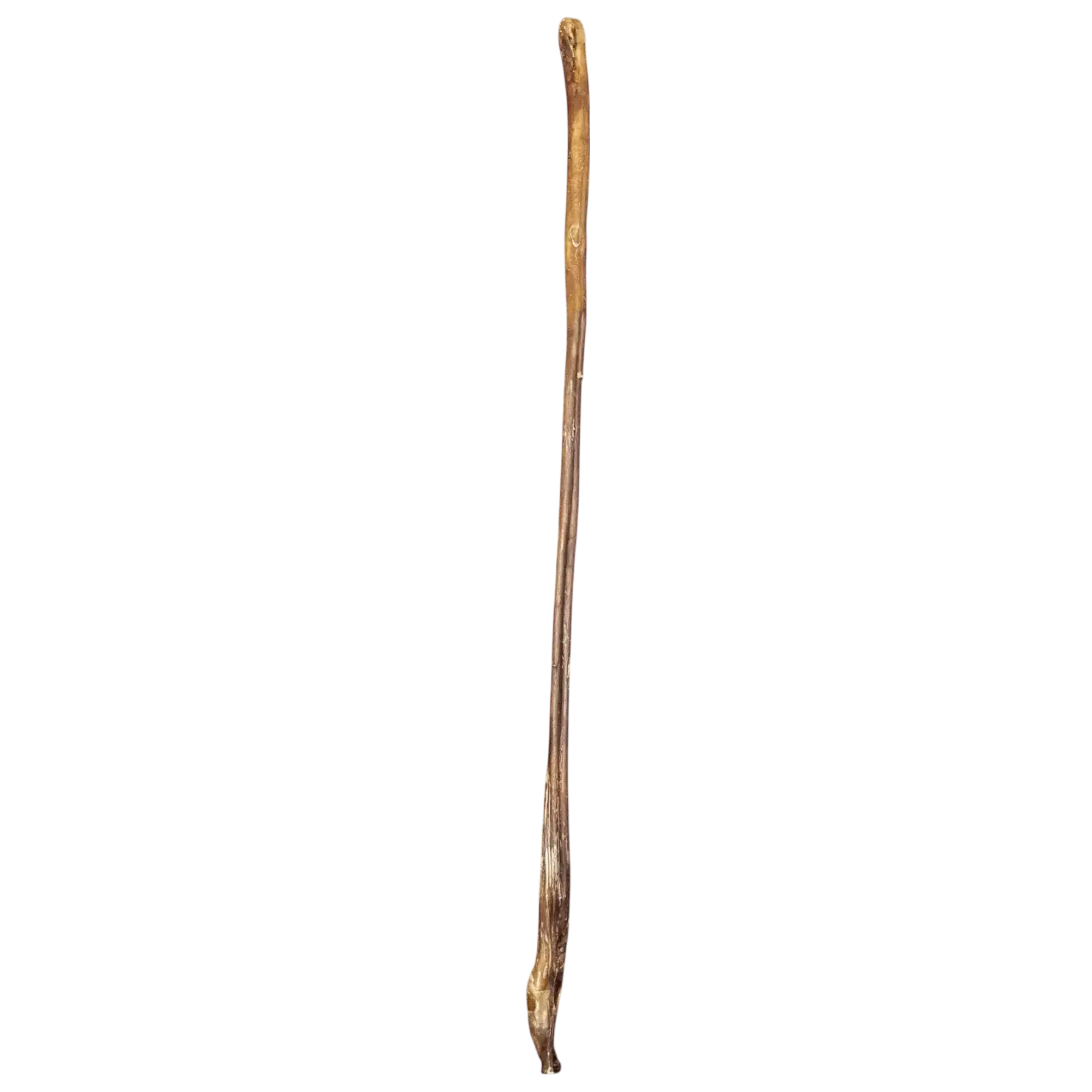 Ochsenziemer 100cm – Natürlicher Kauartikel für Hunde, ideal für Zahnpflege und langanhaltenden Kauspaß.