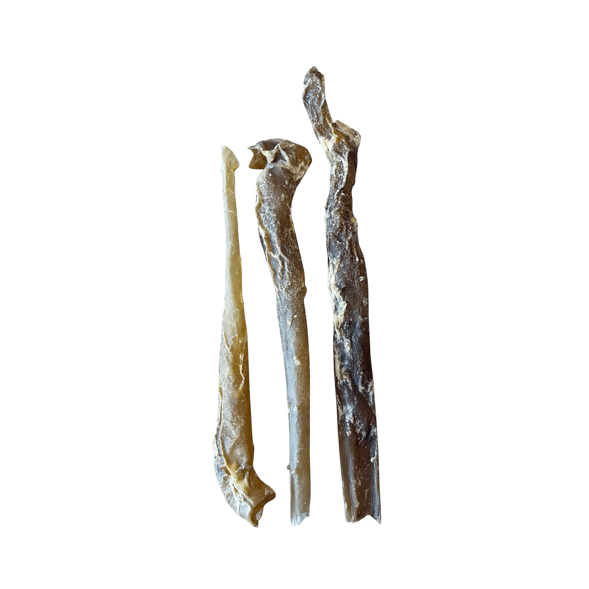 Pferdeaorta – Naturkauartikel für Hunde, natürliche Kauartikel aus Pferdefleisch.