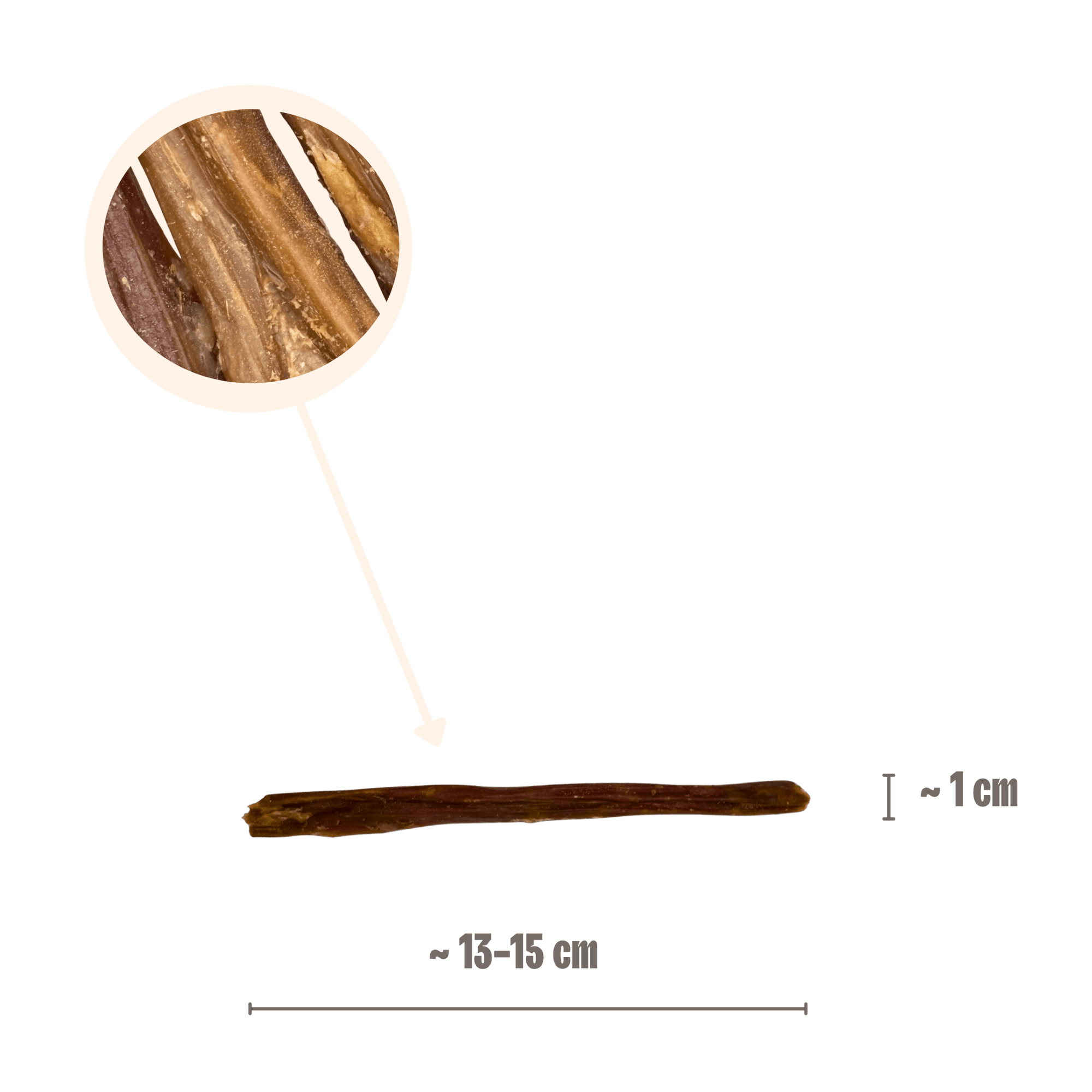Infografik zur Größe der Pferdedarm-Sticks für Hunde mit Maßen von ca. 13-15 cm Länge und 1 cm Dicke⁠