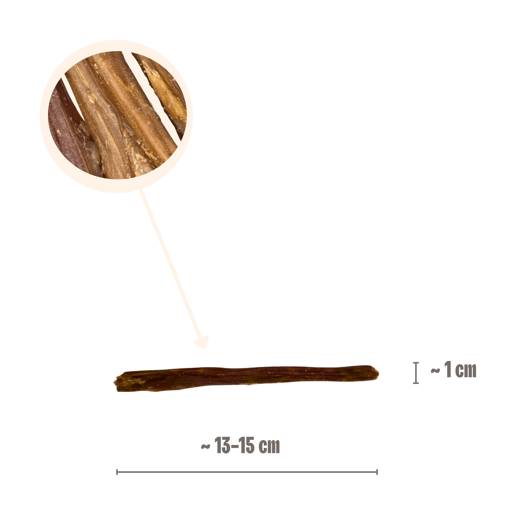 Infografik zur Größe der Pferdedarm-Sticks für Hunde mit Maßen von ca. 13-15 cm Länge und 1 cm Dicke⁠