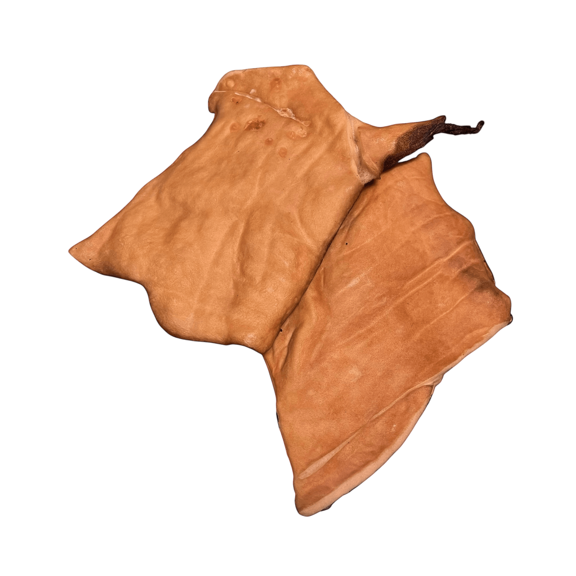 Pferdehautplatte Grob – Natürlicher Kausnack für Hunde, schonend getrocknet und proteinreich.