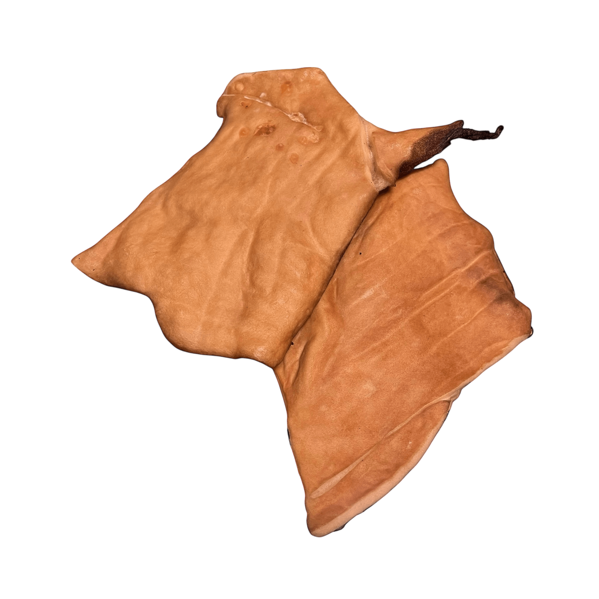 Pferdehautplatte Grob – Natürlicher Kausnack für Hunde, schonend getrocknet und proteinreich.