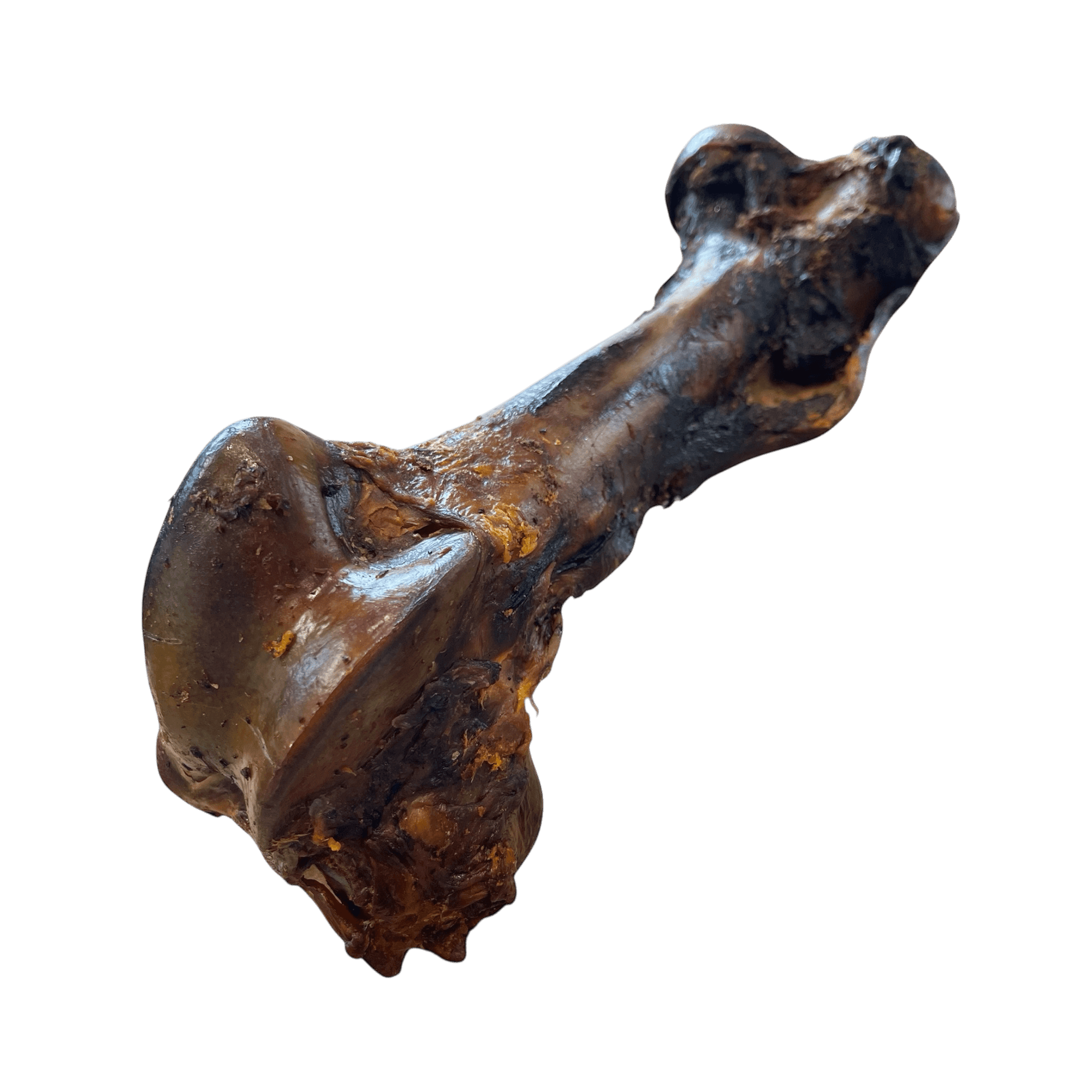 Pferdejumbo-Knochen (XXL) – Naturkauartikel für Hunde, hochwertiger Hundeknochen, hypoallergen, 30-50cm lang.