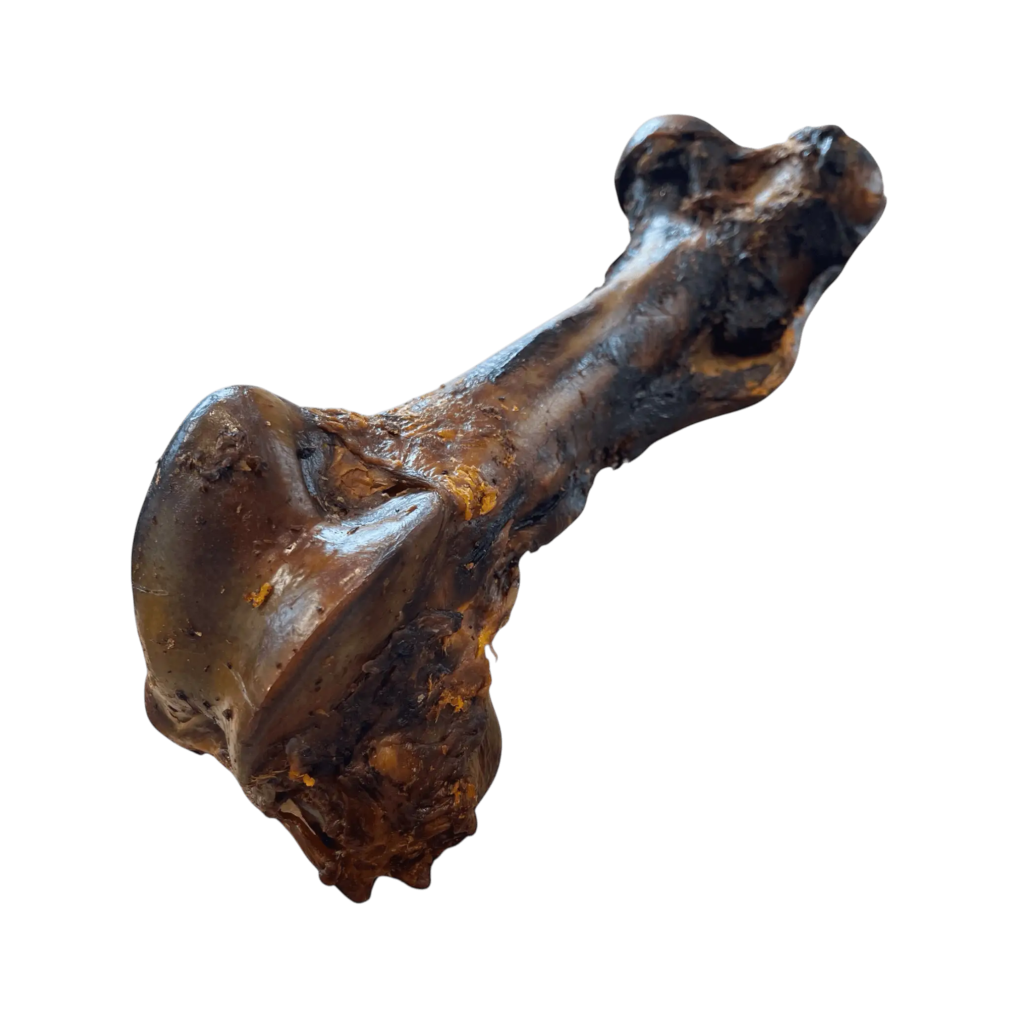 Pferdejumbo-Knochen (XXL) – Naturkauartikel für Hunde, hochwertiger Hundeknochen, hypoallergen, 30-50cm lang.