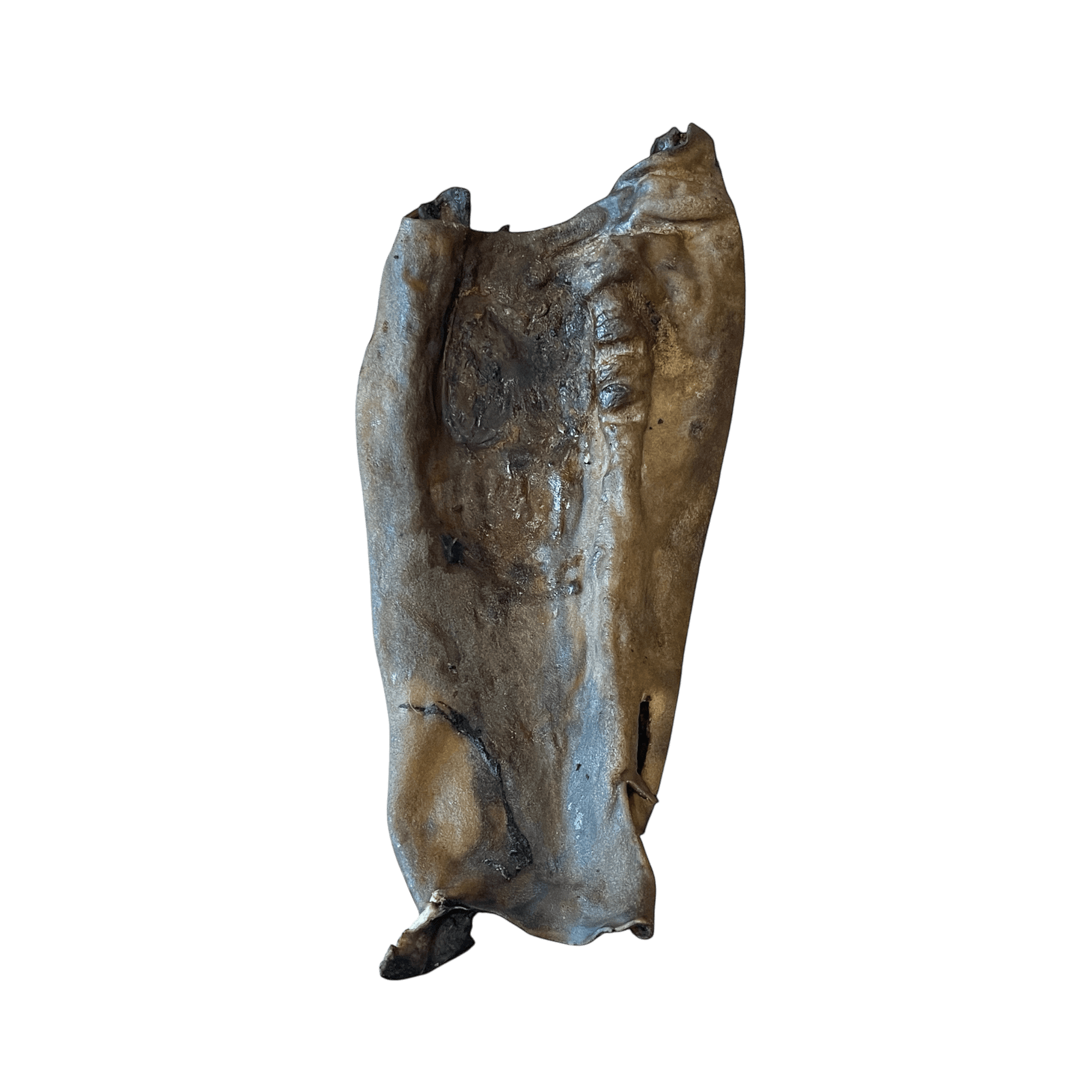 Pferdekopfhautplatte-Dunkel – Naturkauartikel für Hunde auf einem neutralen Hintergrund.