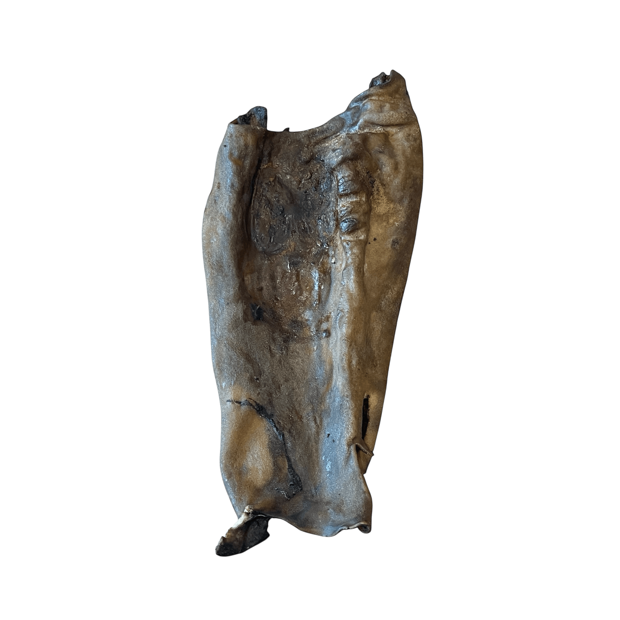 Pferdekopfhautplatte-Dunkel – Naturkauartikel für Hunde auf einem neutralen Hintergrund.