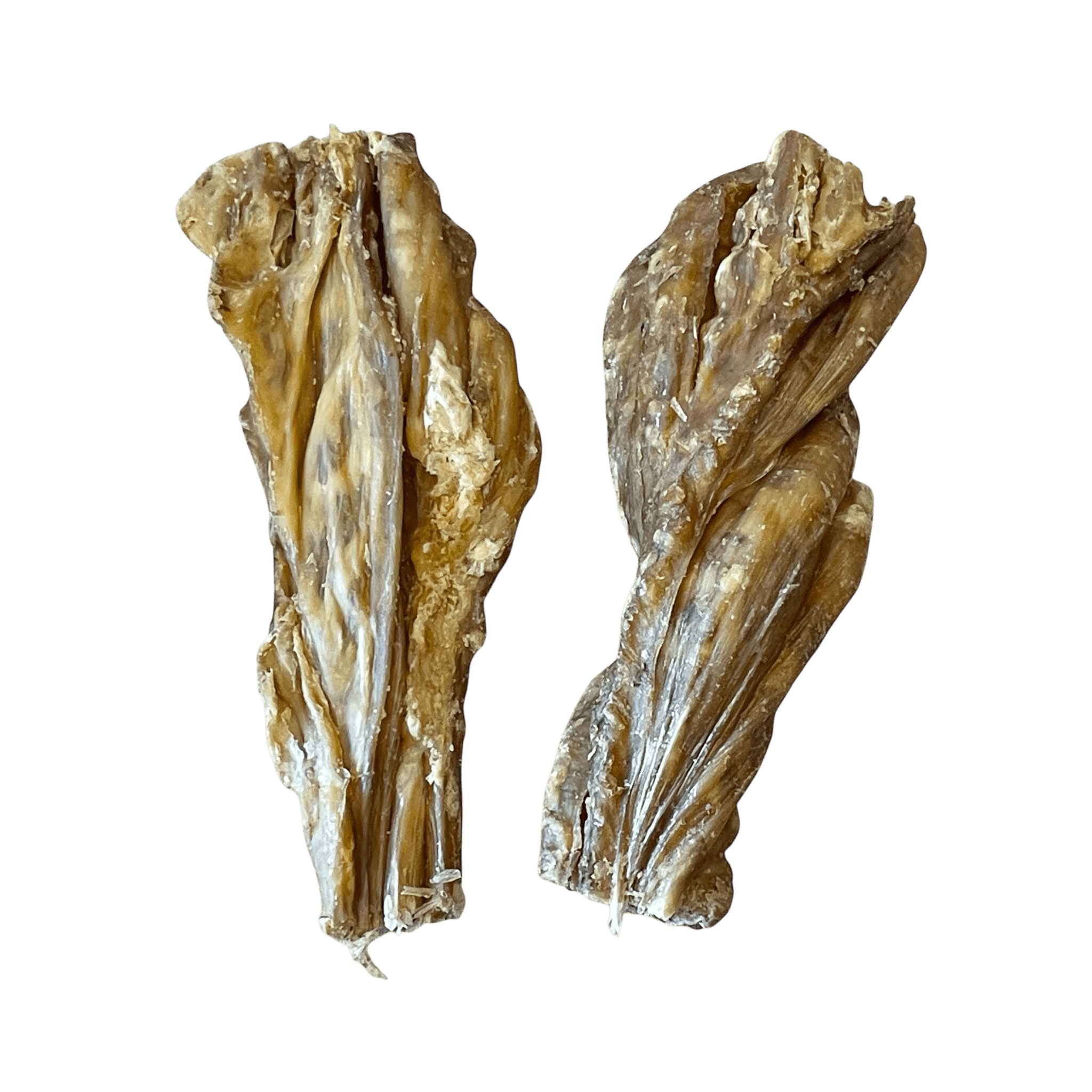 Pferdemagen – Naturkauartikel für Hunde, gesunde Kausnacks aus 100% natürlichem Pferdemagen