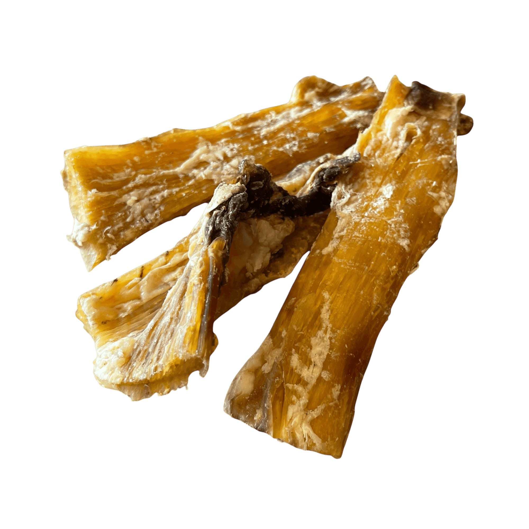 Pferdenackensehne – Naturkauartikel für Hunde, gesunde Kaustreifen für Hunde, leckere Belohnung