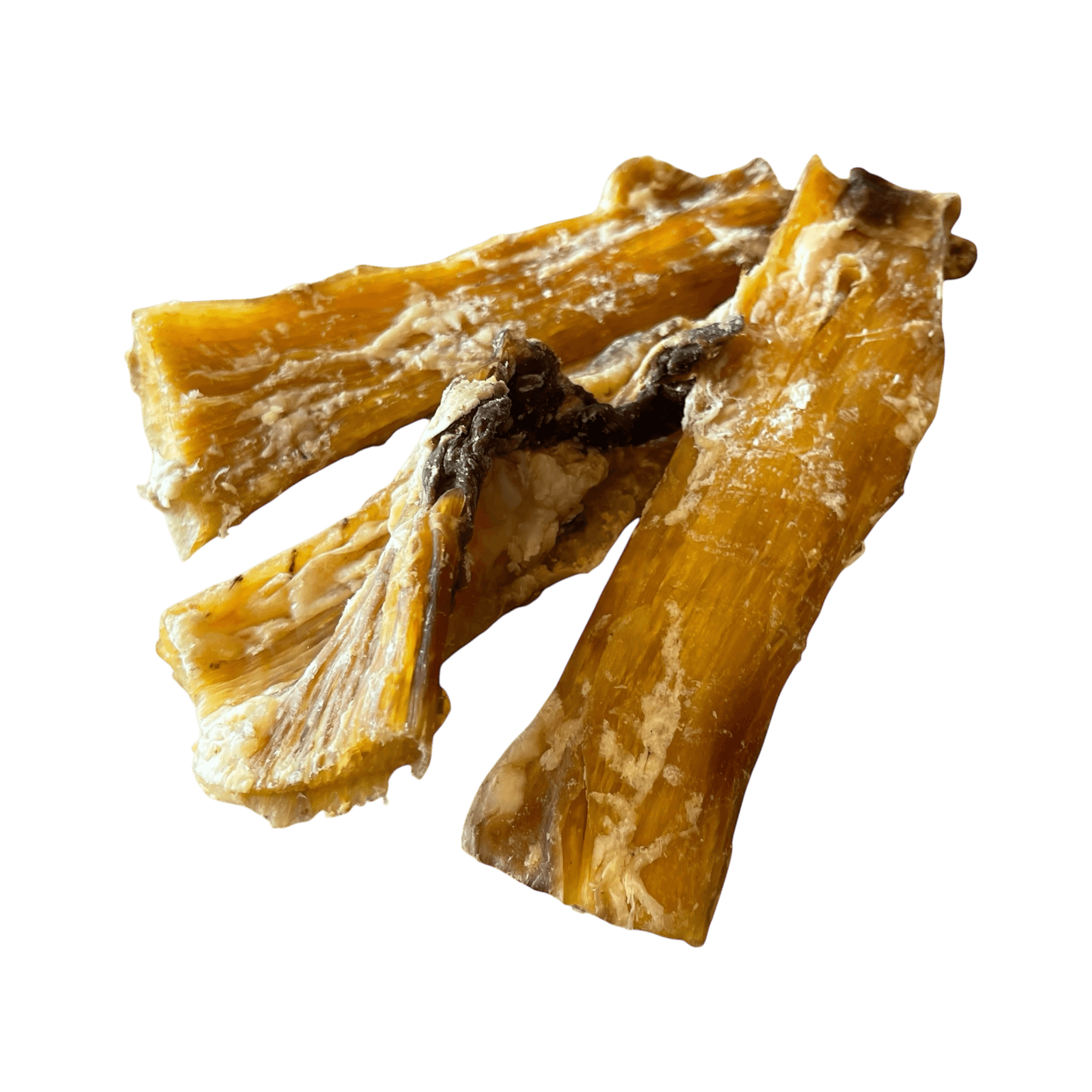 Pferdenackensehne – Naturkauartikel für Hunde, gesunde Kaustreifen für Hunde, leckere Belohnung