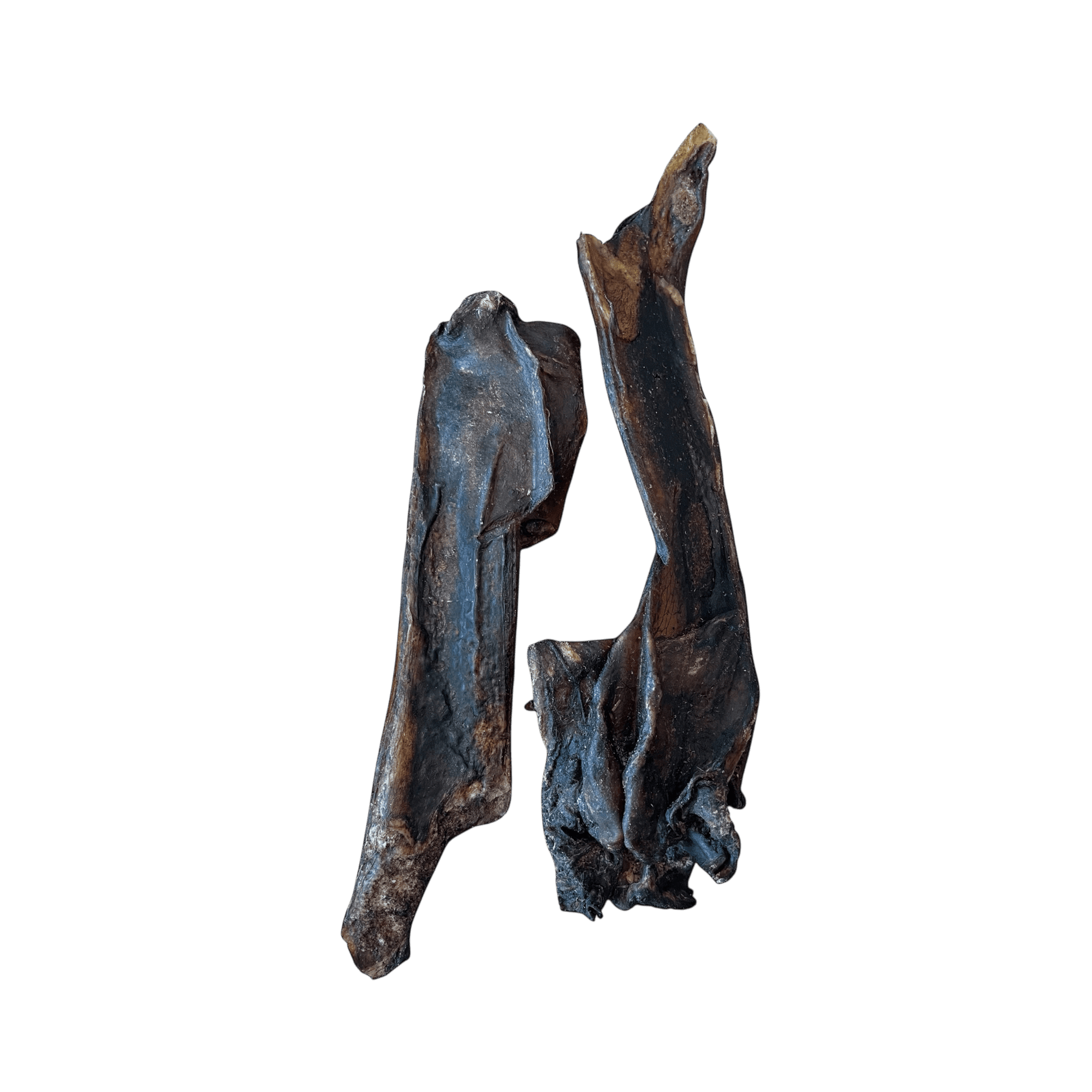 Pferdenasenknochen – Naturkauartikel für Hunde, hochwertige Knochen aus Pferdenasen für gesunde Hundesnacks