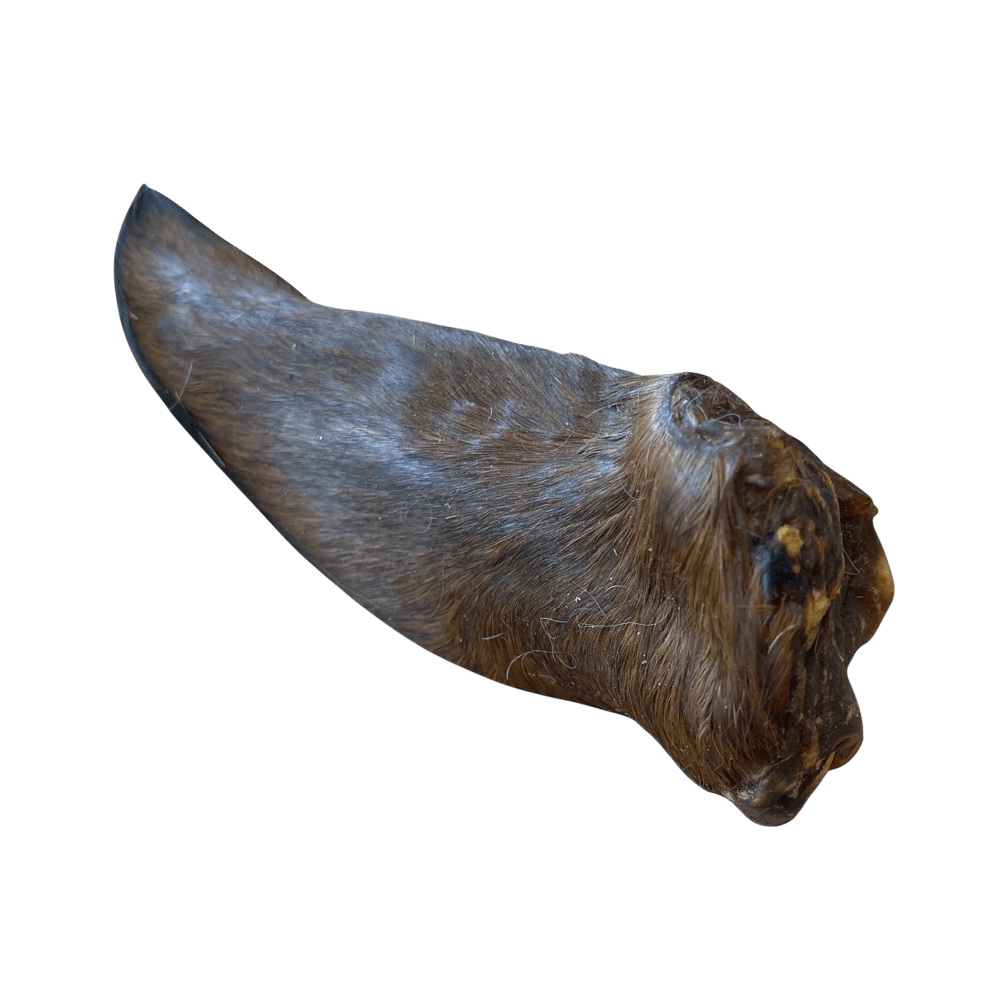 Pferdeohr mit Fell – Naturkauartikel für Hunde, hypoallergene Kausnacks für sensible Hunde.