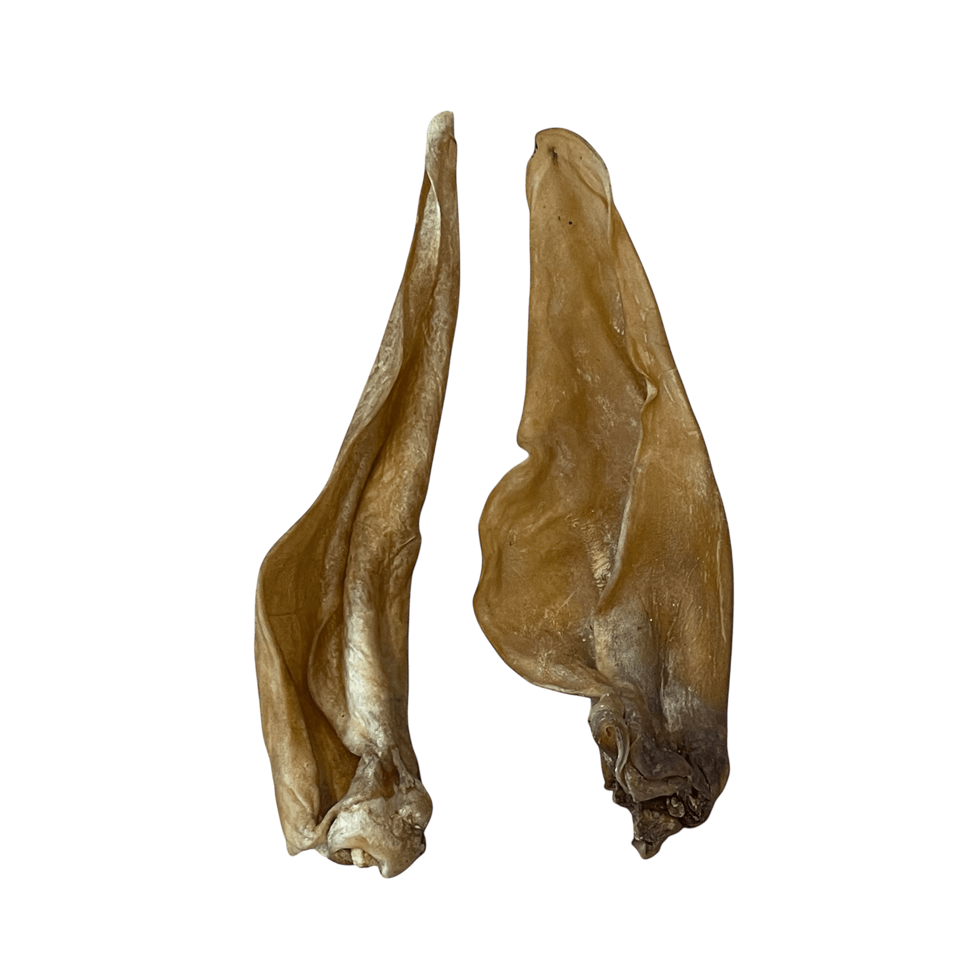 Pferdeohr – Naturkauartikel für Hunde, natürliche Kausnacks für Hunde, 100% natürliche Pferdeohren.