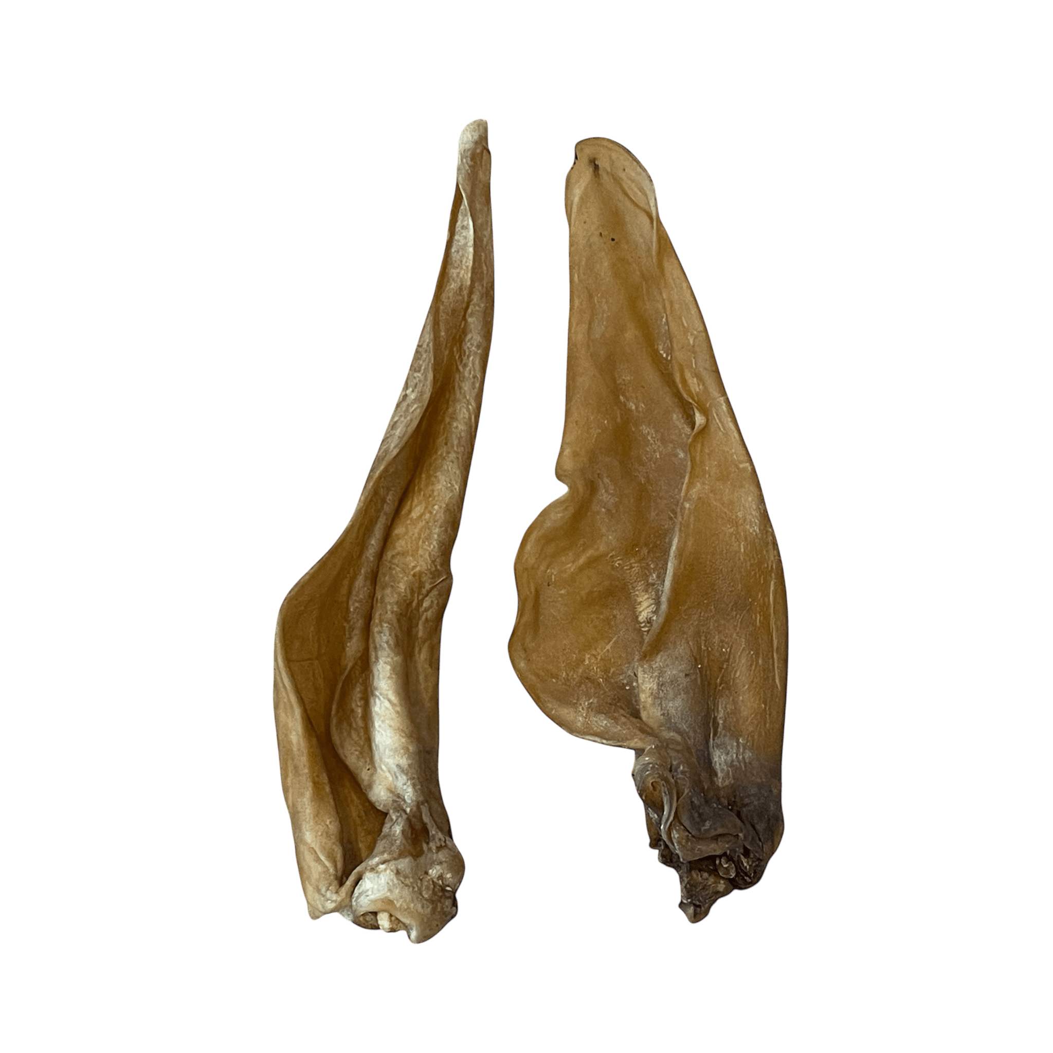 Pferdeohr – Naturkauartikel für Hunde, natürliche Kausnacks für Hunde, 100% natürliche Pferdeohren.