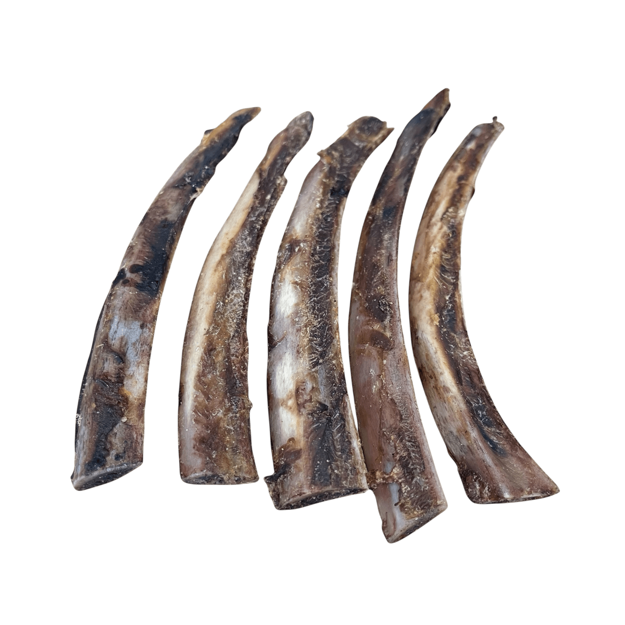 Pferderippe – Naturkauartikel für Hunde, robuste Kauknochen für Hunde, perfekt zur Zahnpflege.