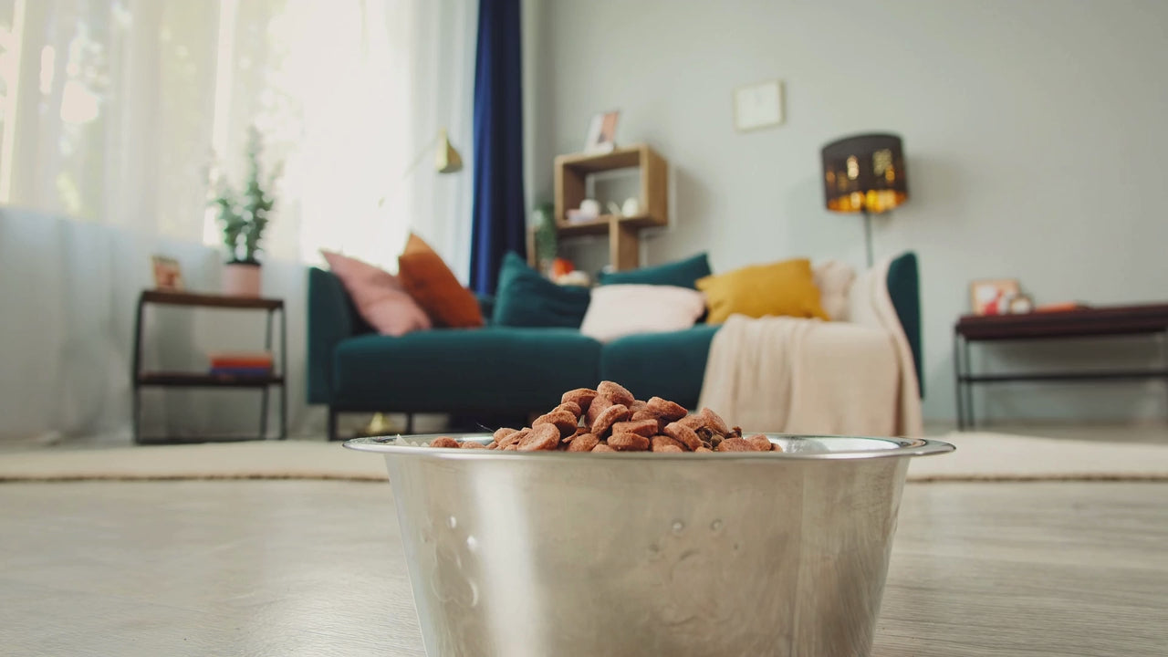 Lucky´s Premium Hundefutter, wird von einem Hund gefressen