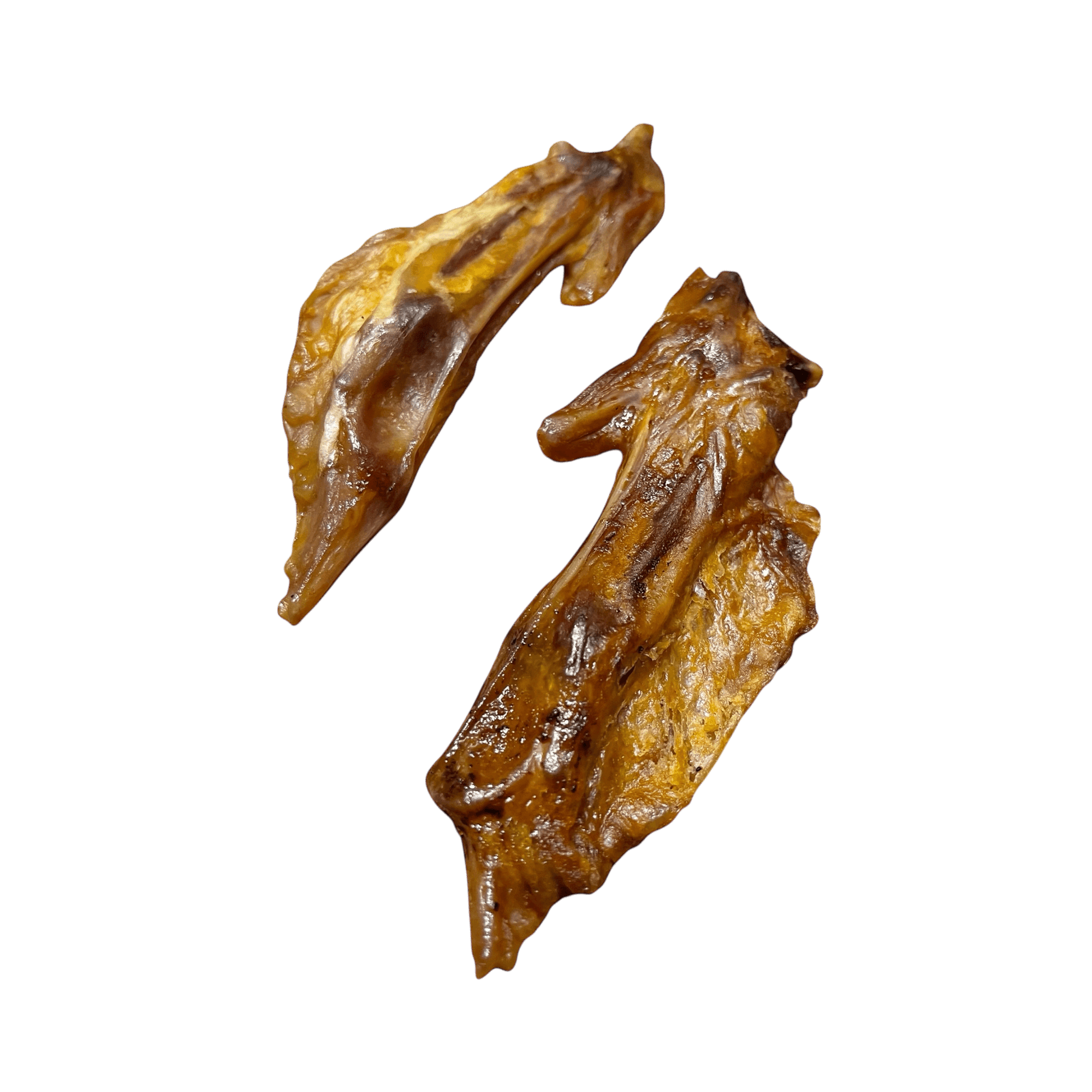 Putenflügel – Natürlicher Kauartikel für gesunden Kauspaß und Zahnpflege bei Hunden