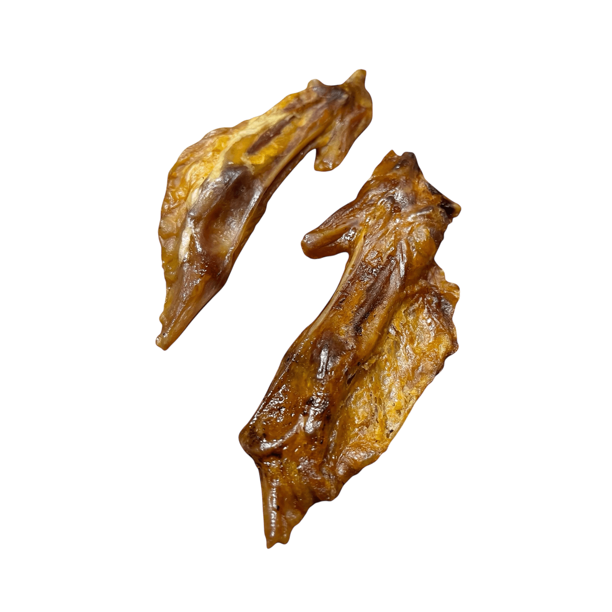 Putenflügel – Natürlicher Kauartikel für gesunden Kauspaß und Zahnpflege bei Hunden