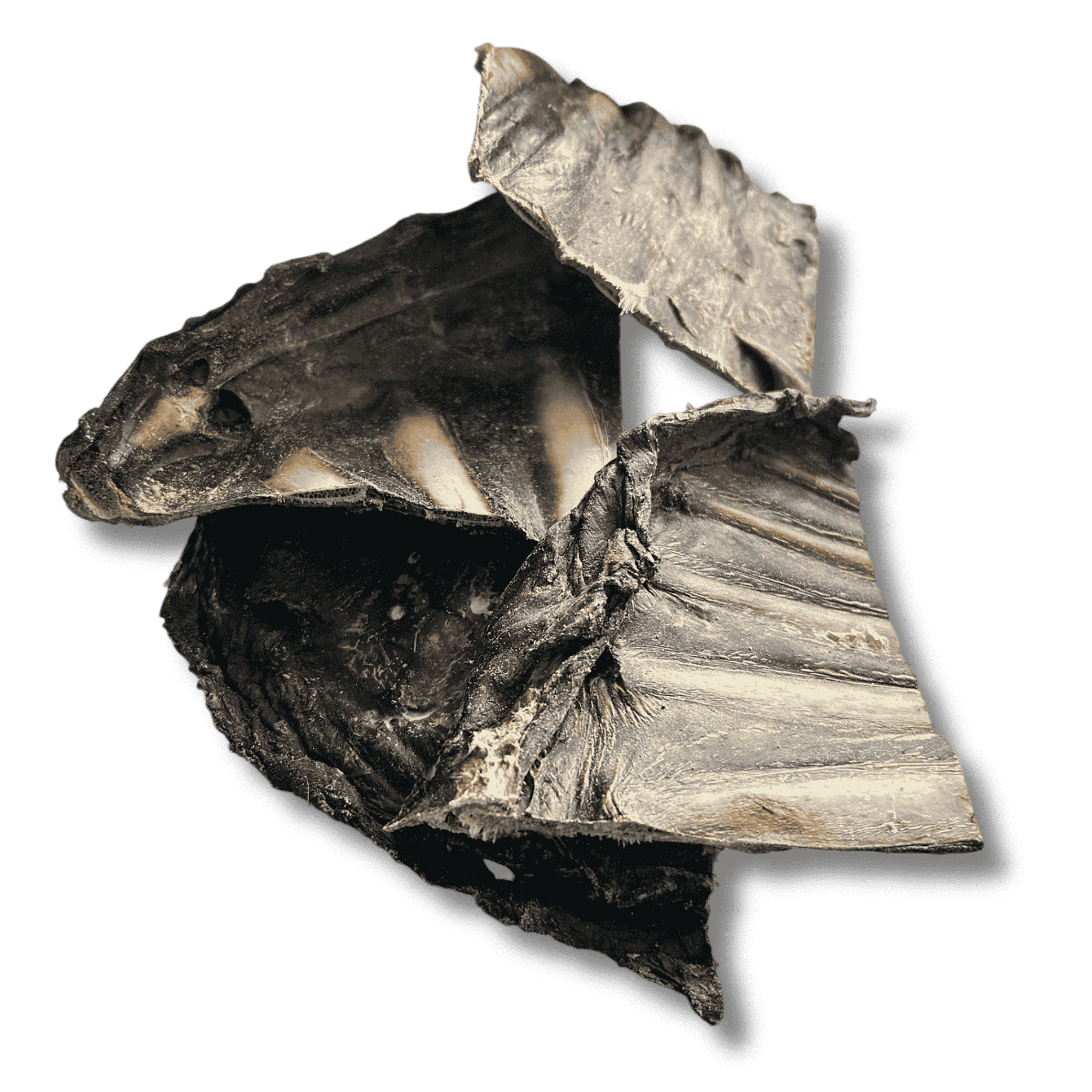 Mehrere Stücke schonend getrocknete Rehrippe im Stapel, ideal als Belohnung für allergische Hunde.