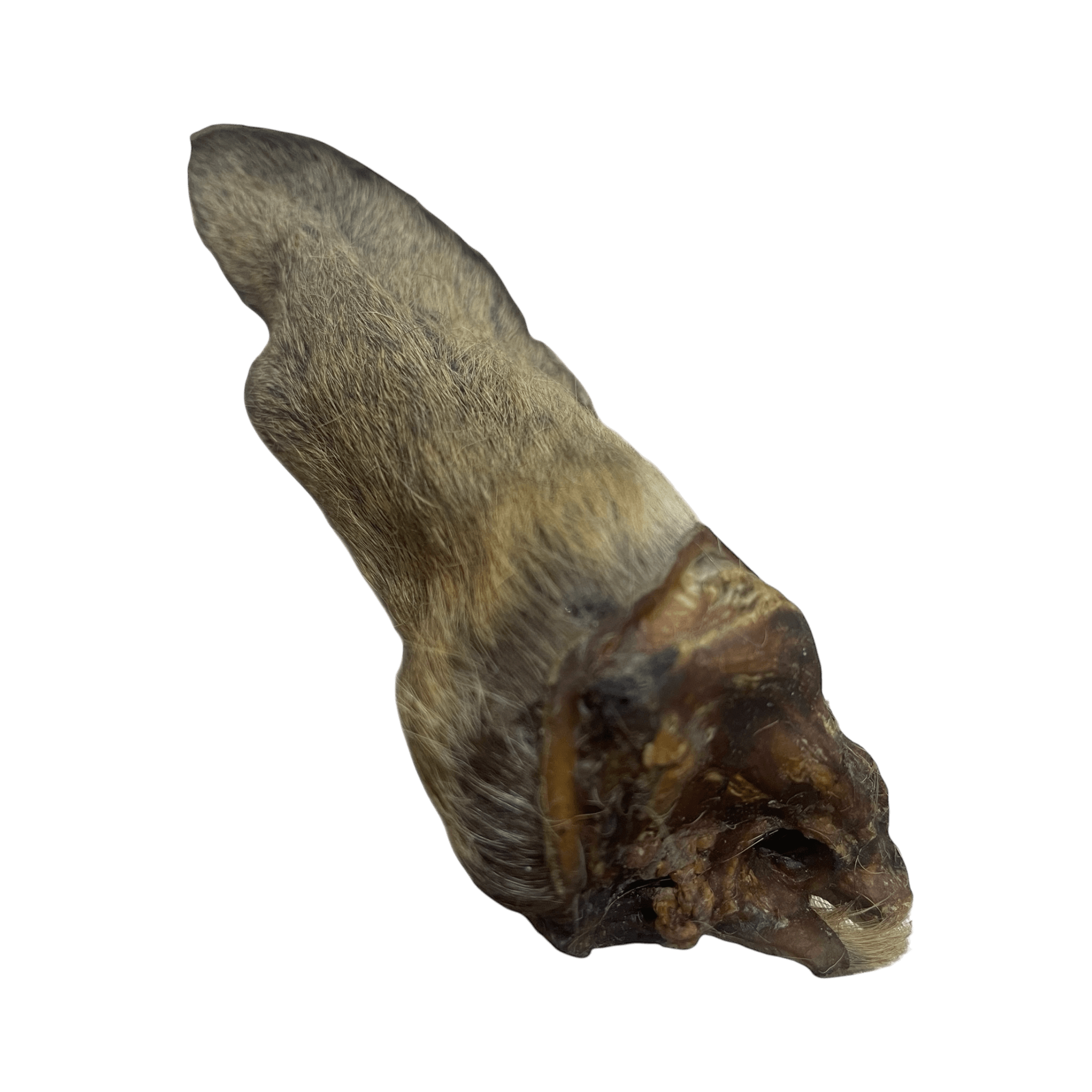 Rehohr mit Fell - Hypoallergener Kausnack für Hunde, naturbelassen und luftgetrocknet.