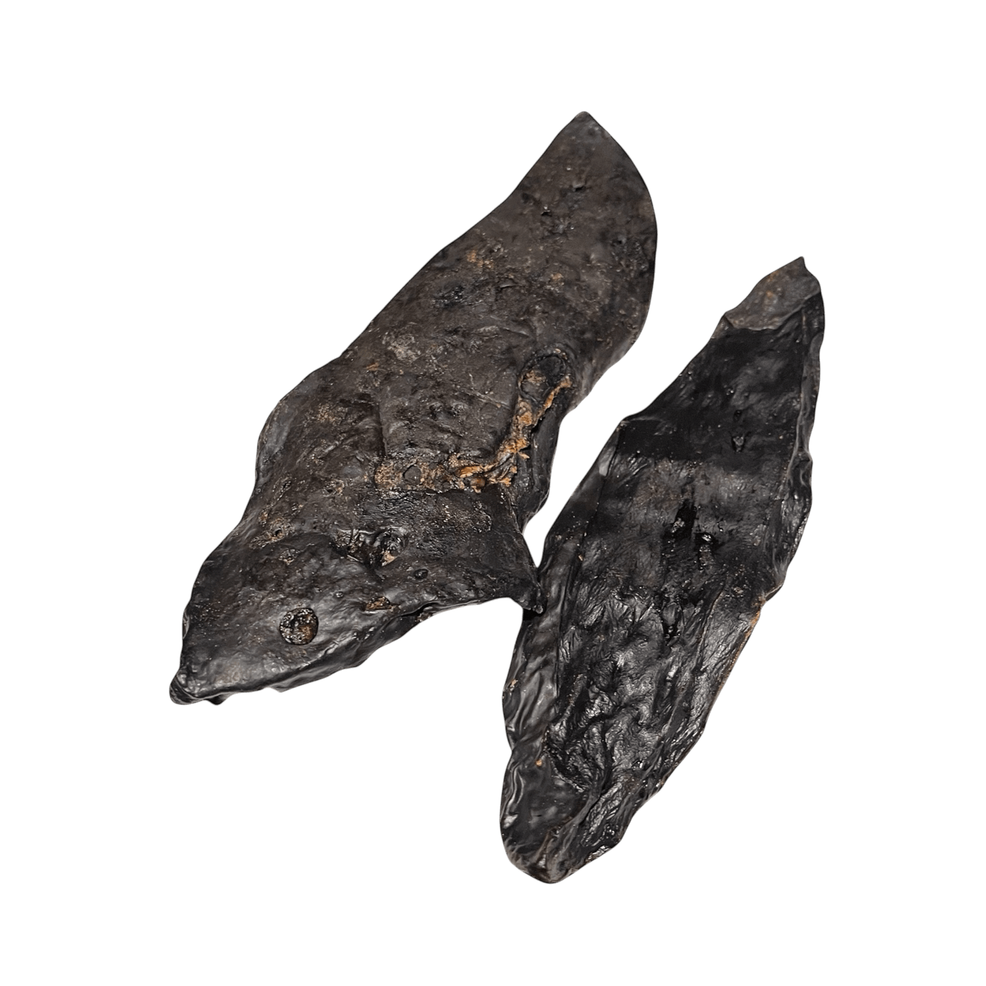 Rentierleber – natürlicher Kauartikel für Hunde, reich an Nährstoffen und aromatisch.