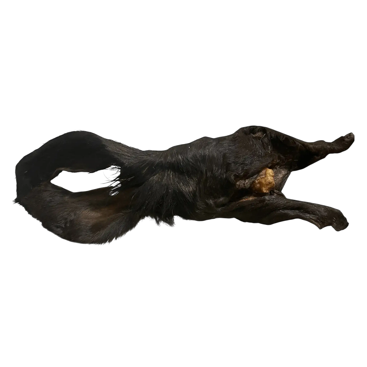 Rinderohr mit Fell (XXL) – Naturkauartikel für Hunde, natürlicher Kauartikel für große Hunde.