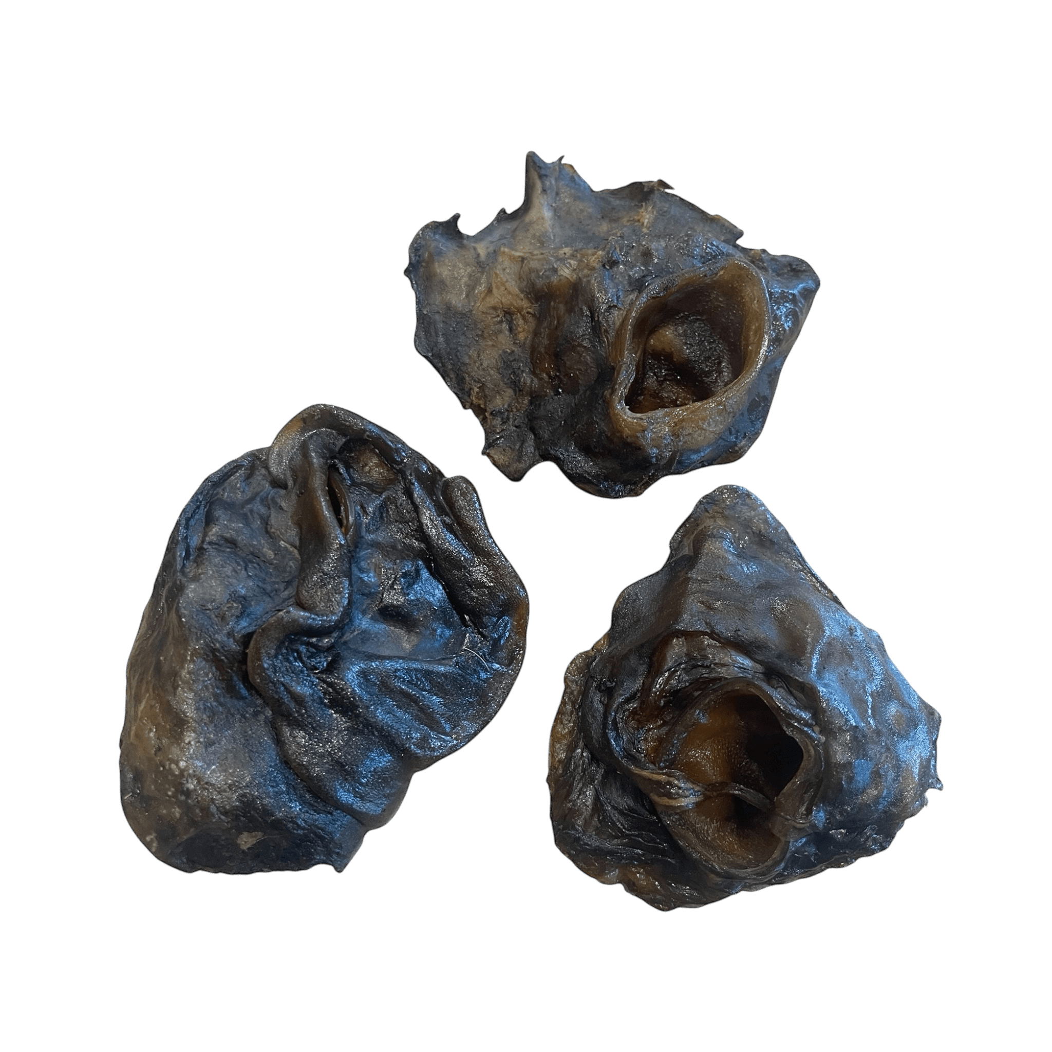 Rinderohr Muscheln – natürliche Premium Snack für Hunde aus Deutschland