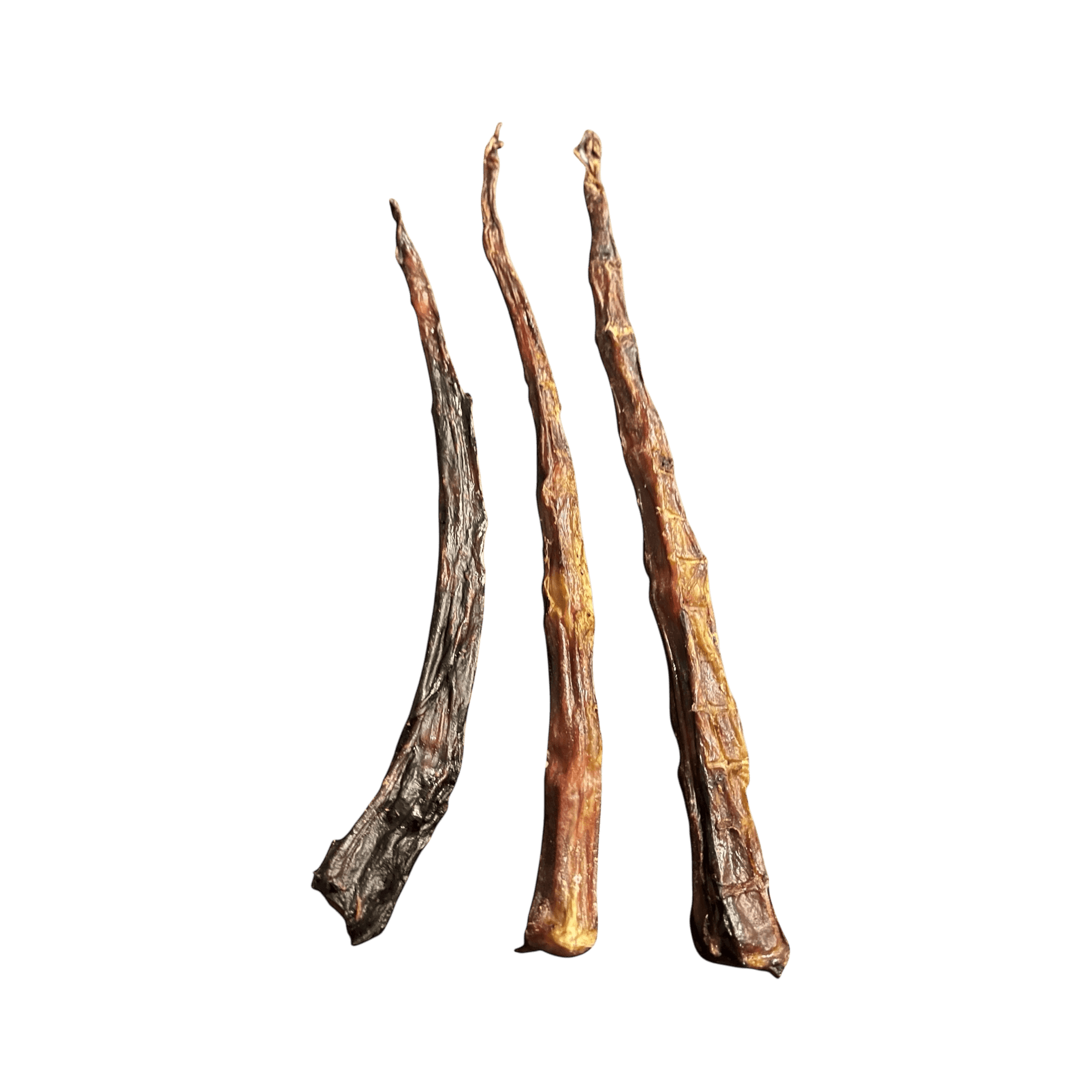 Rinderschwanz ohne Haut – natürliche Kauartikel für Hunde, gesund und knusprig.