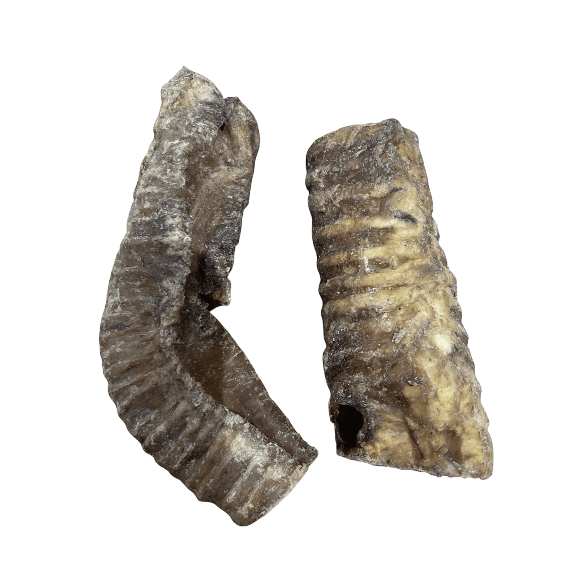 Rinderstrossen 15cm - köstlicher Kausnack aus hochwertigem Knorpel für Hunde, proteinreich und fettarm.