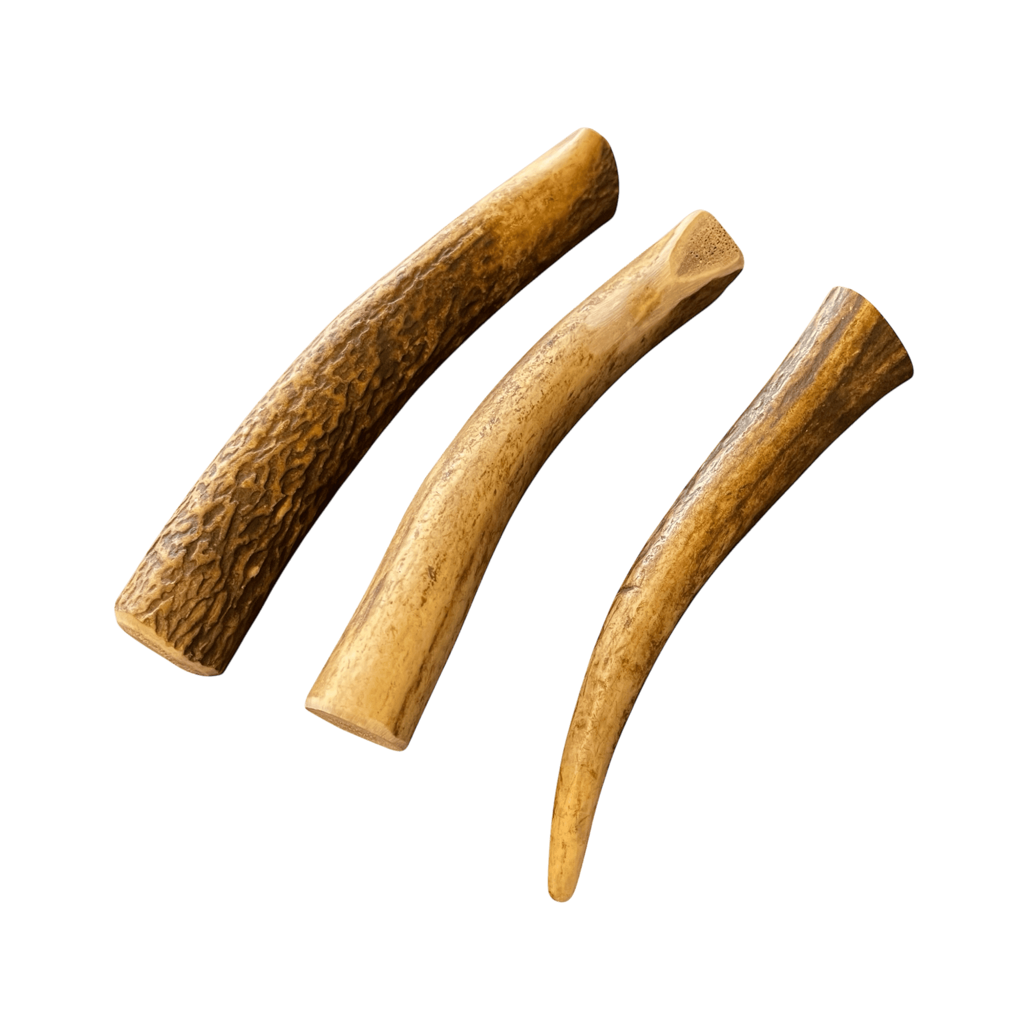 Rothirsch Geweih Kaustange – langlebige Kauspielzeuge aus echtem Geweih für Hunde