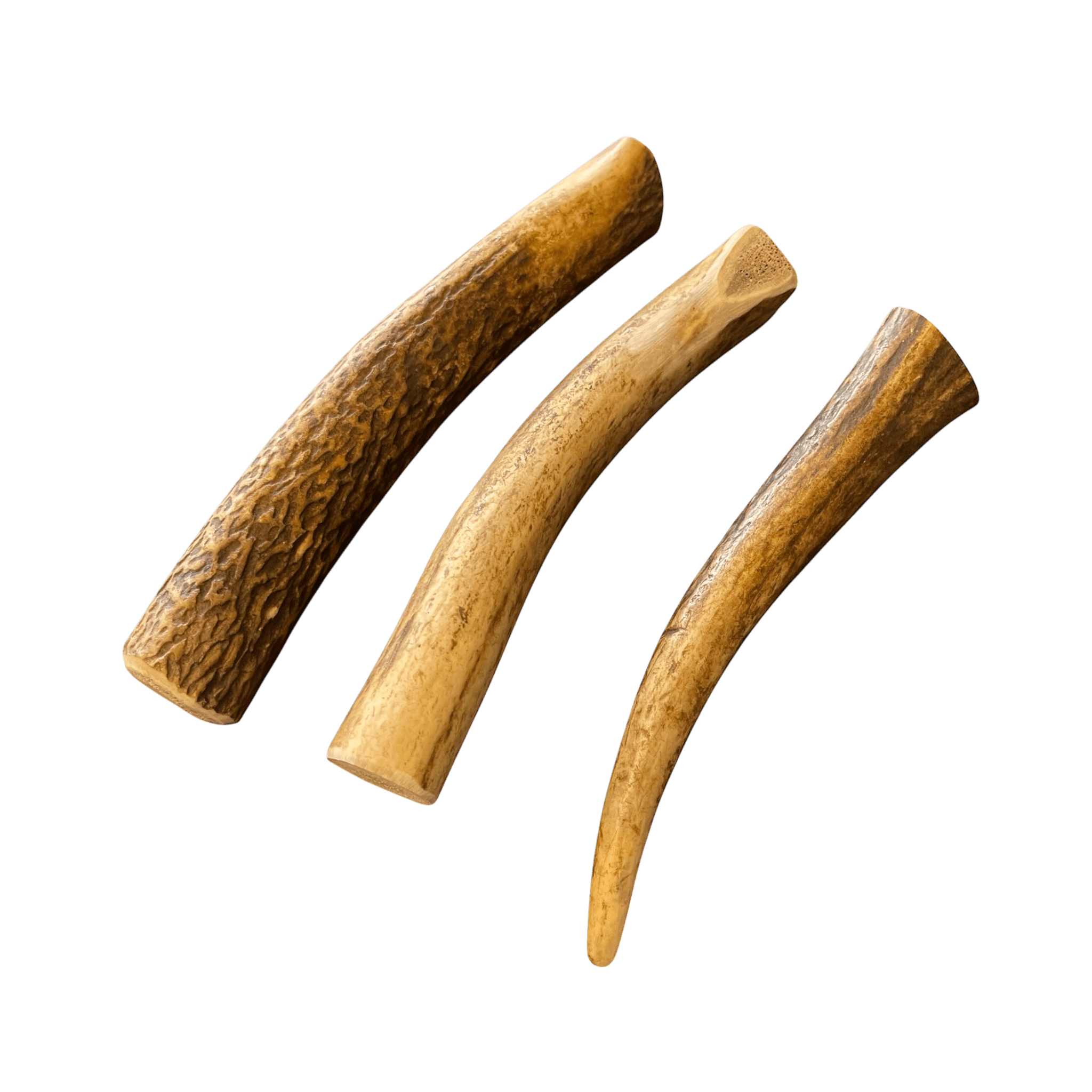 Rothirsch Geweih Kaustange – langlebige Kauspielzeuge aus echtem Geweih für Hunde