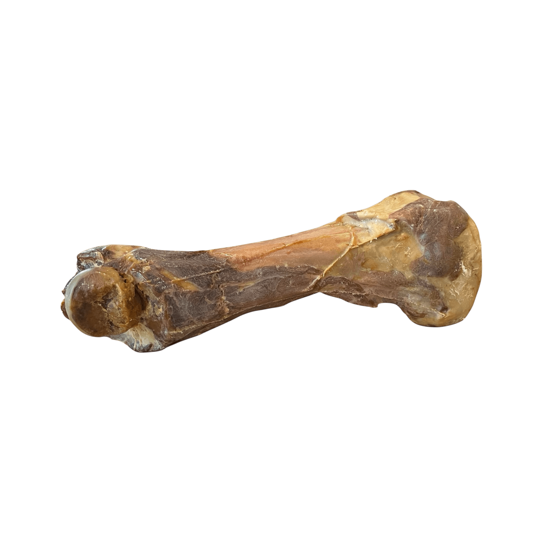 Schinkenknochen aus Pharma XL – 100% natürlicher Kauartikel für Hunde, hochwertiger Genuss aus Italien.