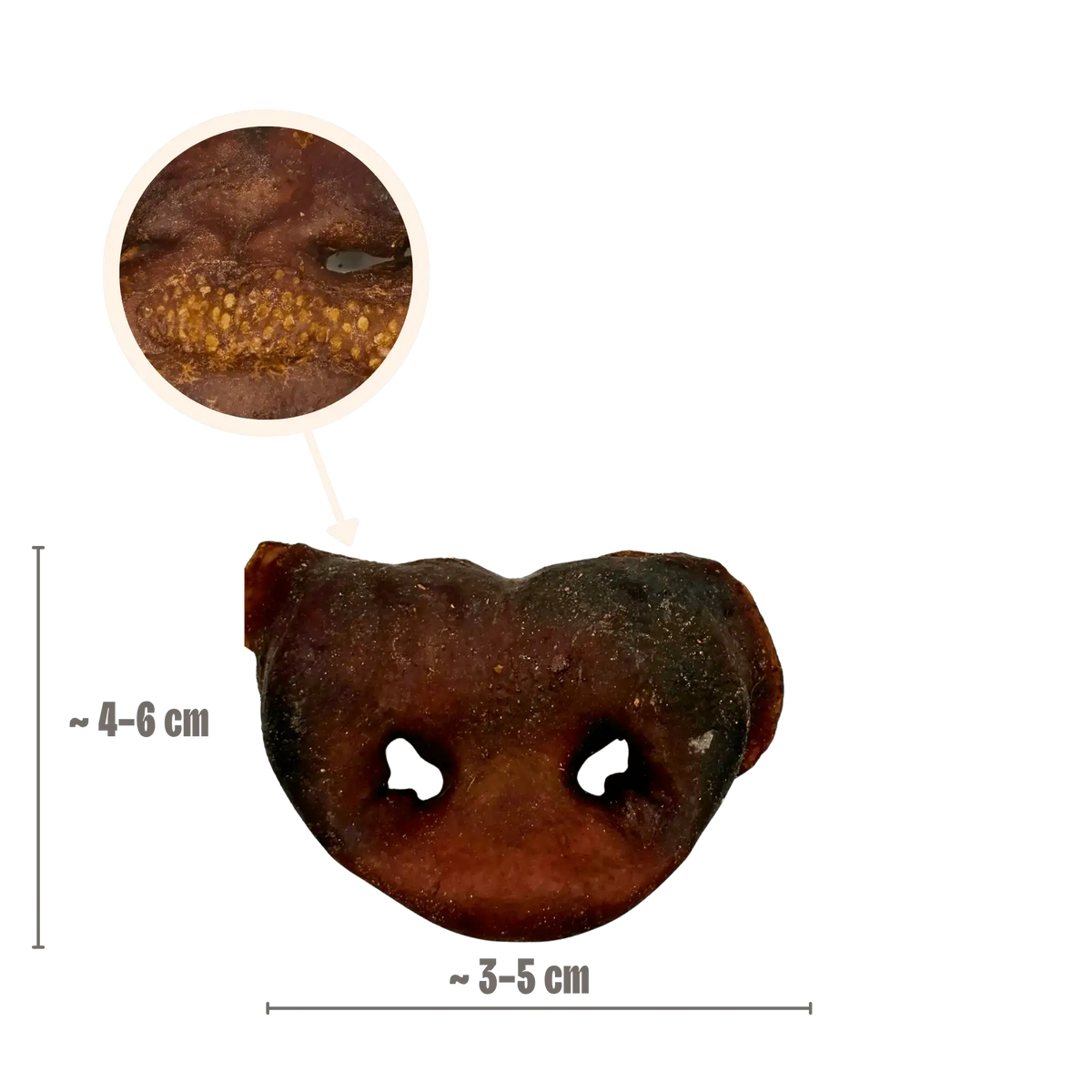 Schweine-Nasen Kauartikel für Hunde, natürliche Snacks, knusprig, etwa 4-5,5 cm, ideal für langanhaltenden Kauspaß.