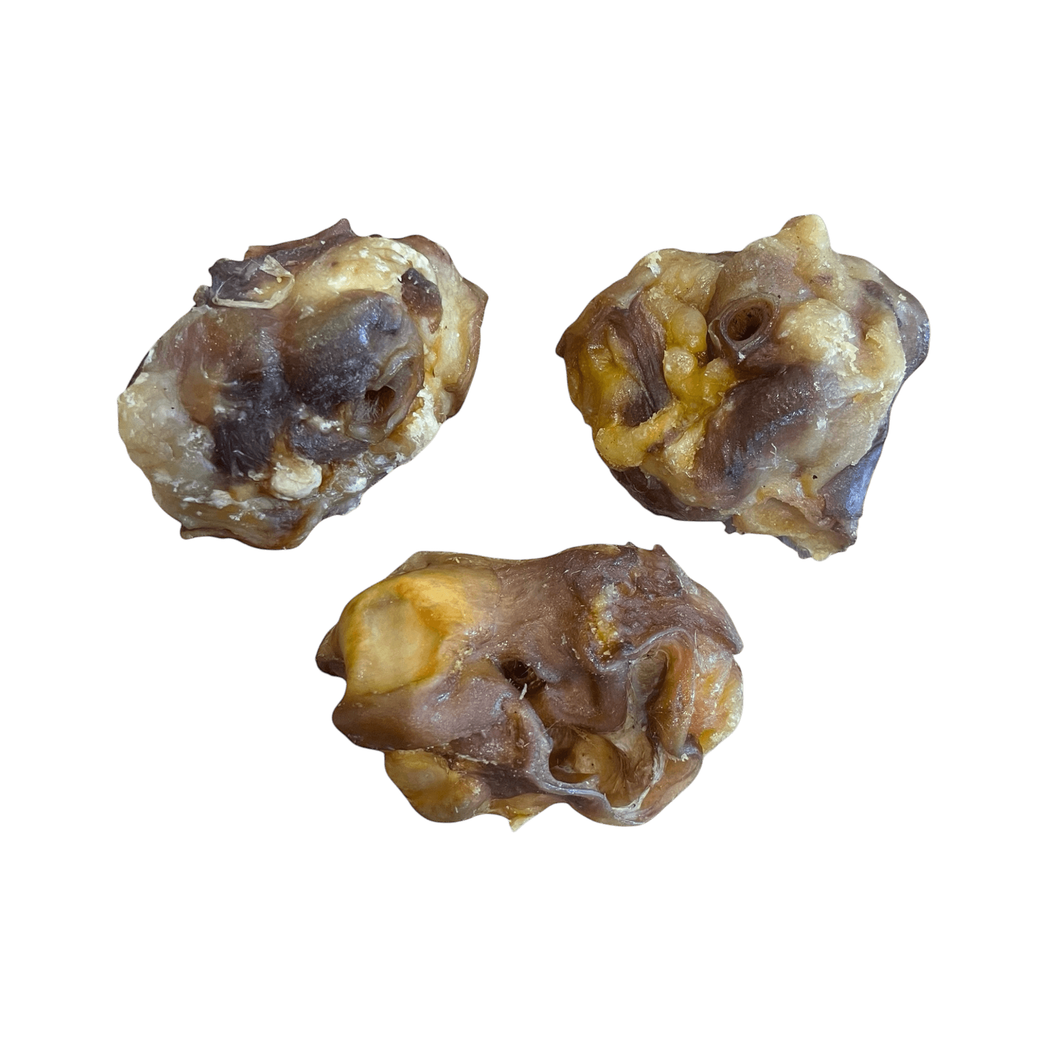 Schweineohr Muscheln - natürliche Kausnacks für Hunde, ideal für Zahngesundheit und Belohnung.