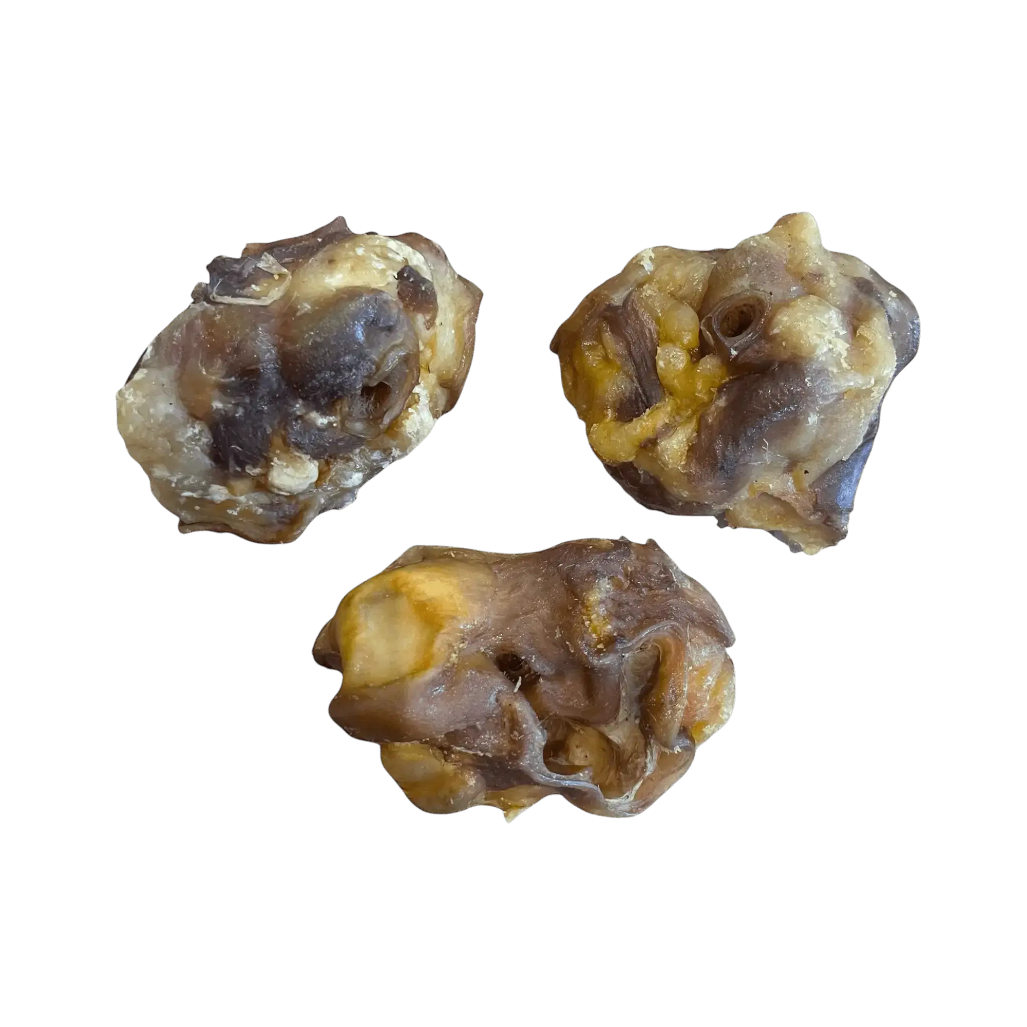 Schweineohr Muscheln - natürliche Kausnacks für Hunde, ideal für Zahngesundheit und Belohnung.