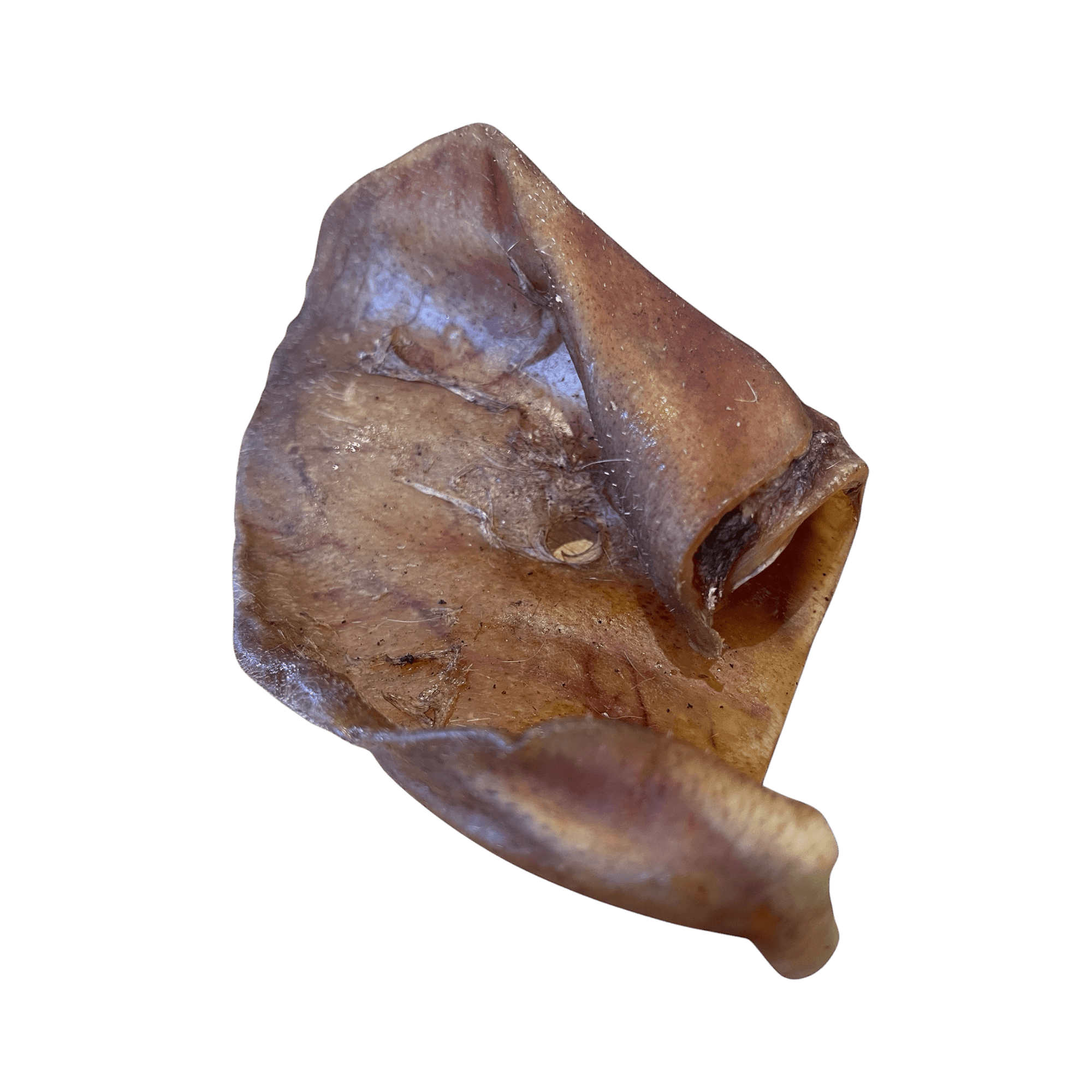 Schweineohr (XL) – Naturkauartikel für Hunde