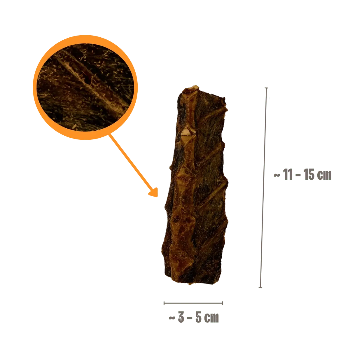 Einzelner Thunfisch-Knochen mit Maßangaben für die Länge im Onlineshop