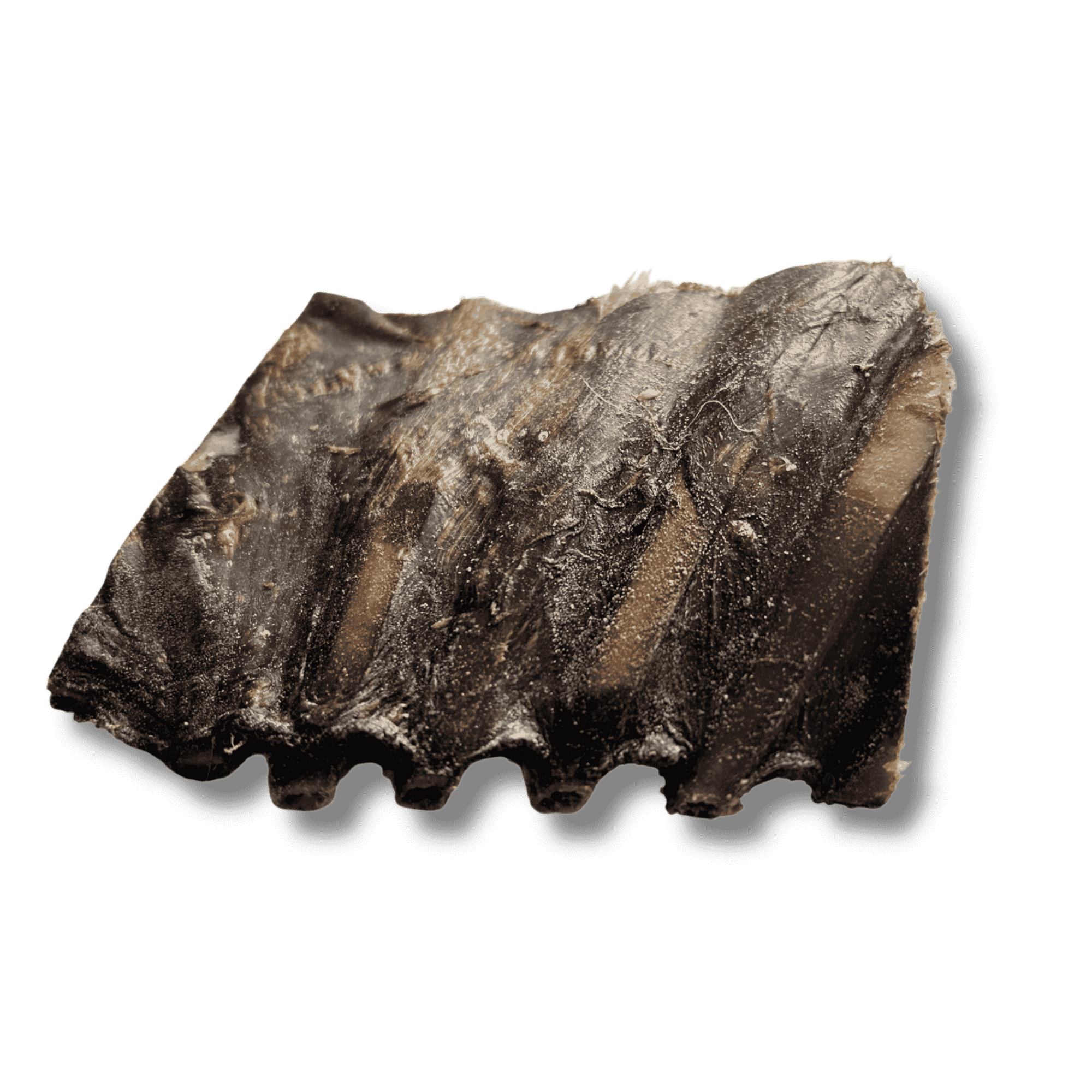 Ein flaches Stück getrocknete Rehrippe, ein natürlicher und allergenarmer Kauartikel für Hunde.